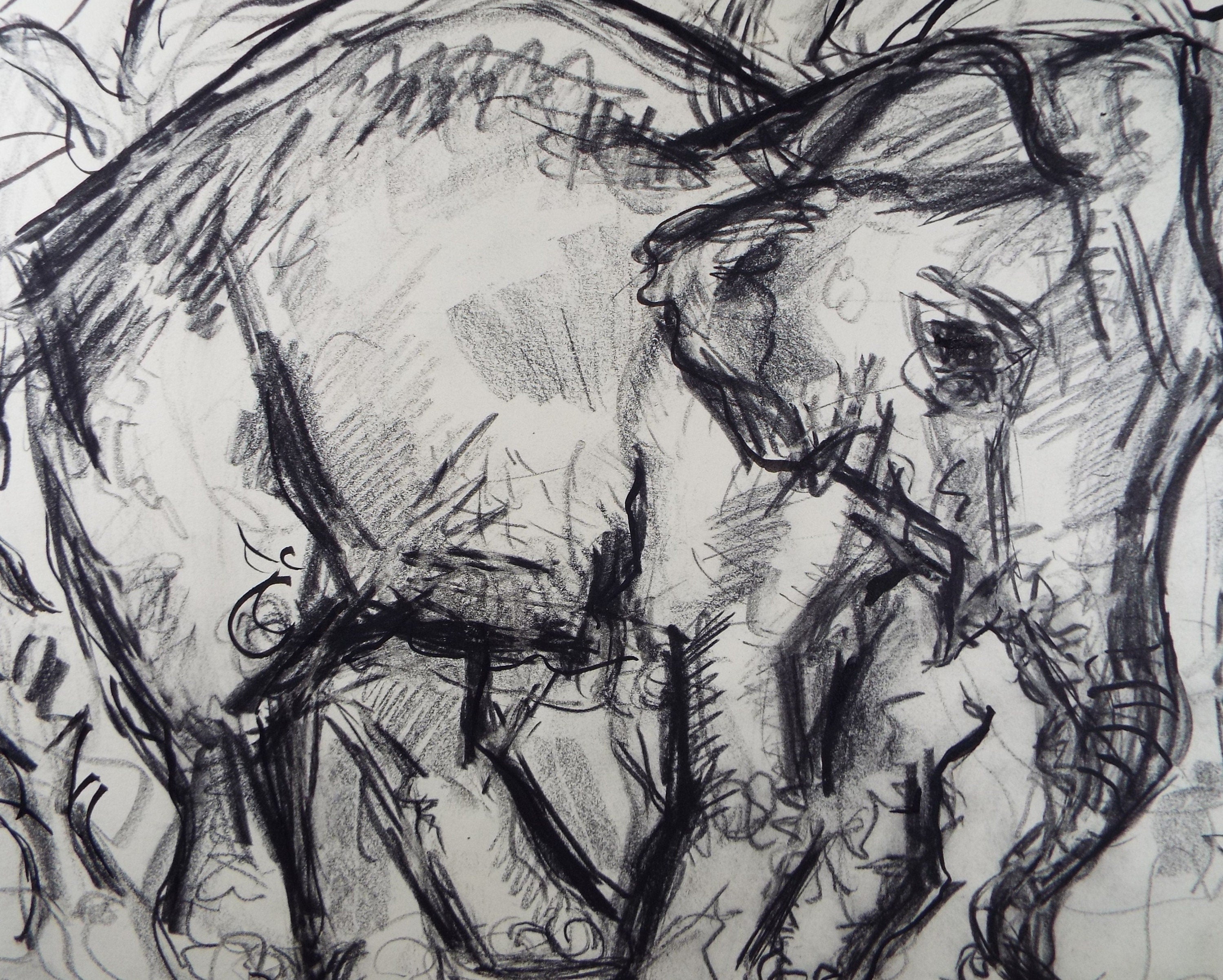 Original Conte Drawing, 'Elephant', Dated 1950, Henry Saunders (1918-1982)