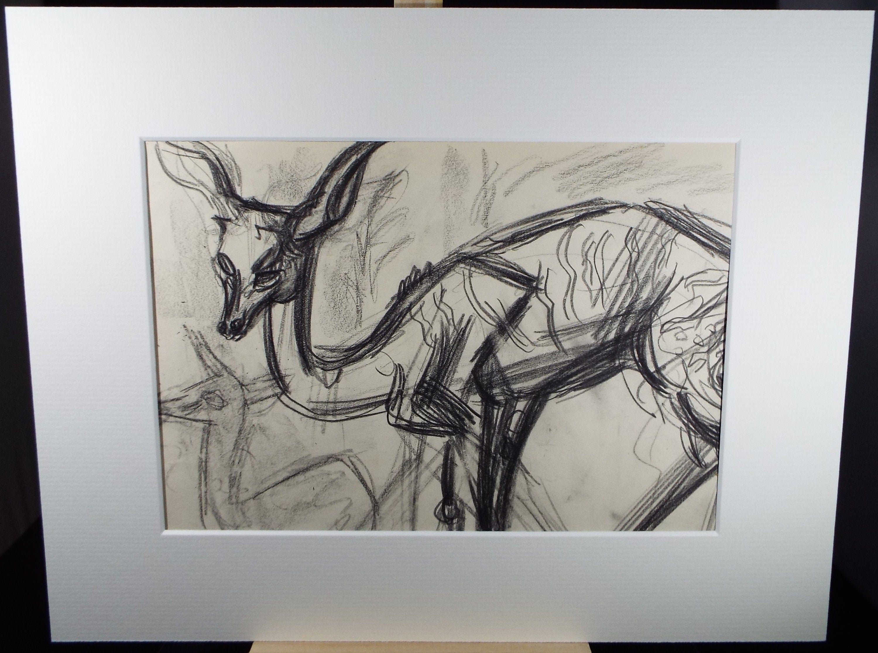 Original Conte Drawing, 'Lesser Kudu', Dated 1950, Henry Saunders (1918-1982)