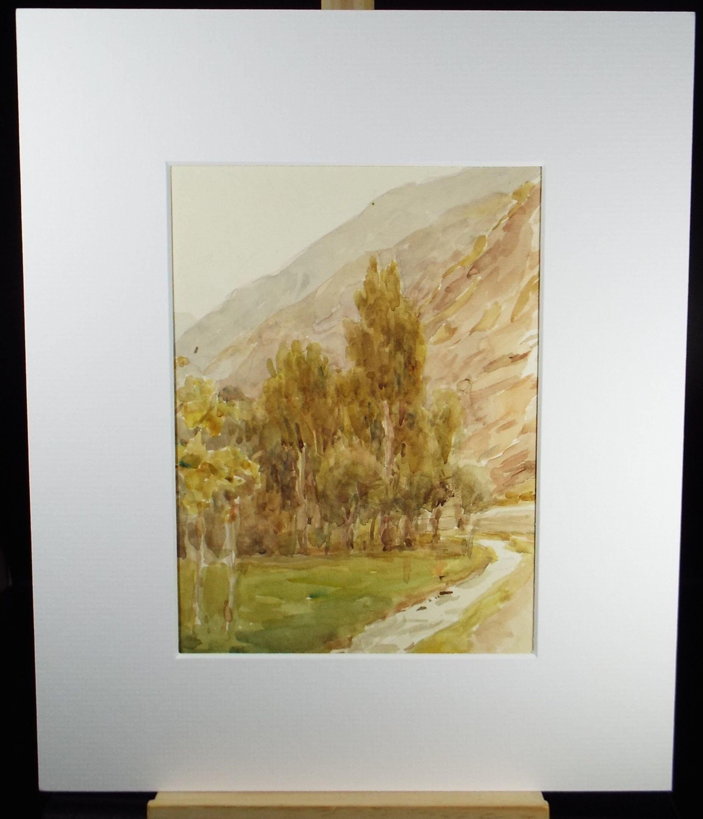 Original Watercolour, 'Stand of Trees', 1950's, Artist Unknown