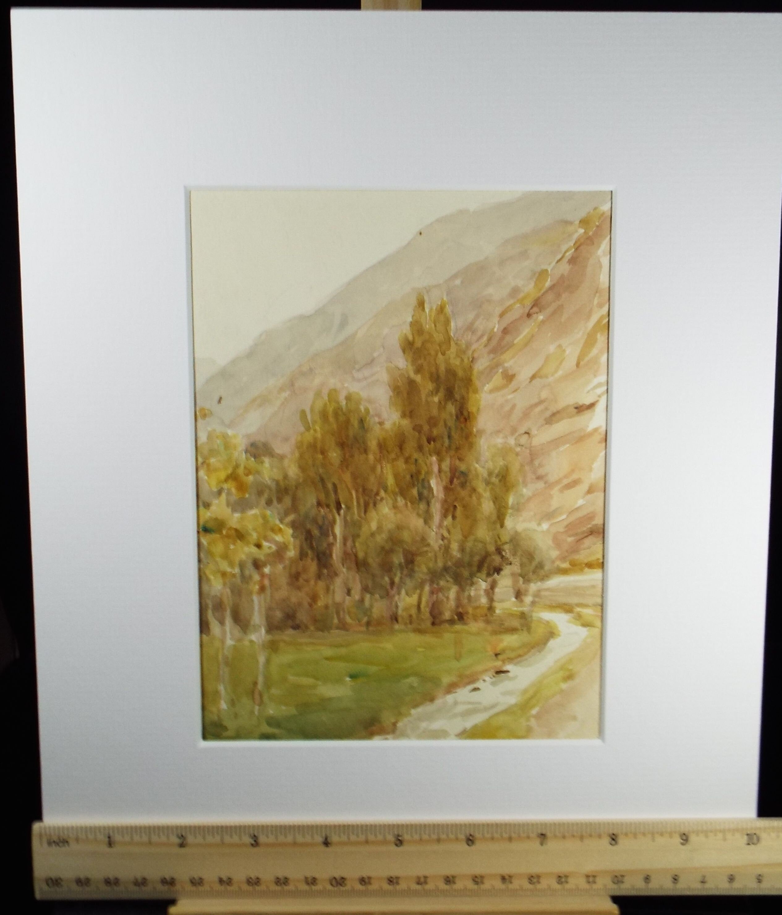 Original Watercolour, 'Stand of Trees', 1950's, Artist Unknown