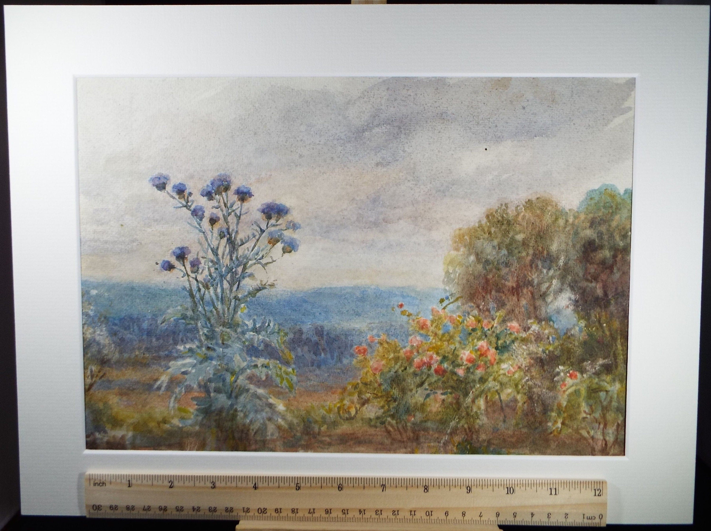 Original Watercolour, 'Sea Holly & Wild Roses', Circa 1950's, C R Chase (1898-1988)