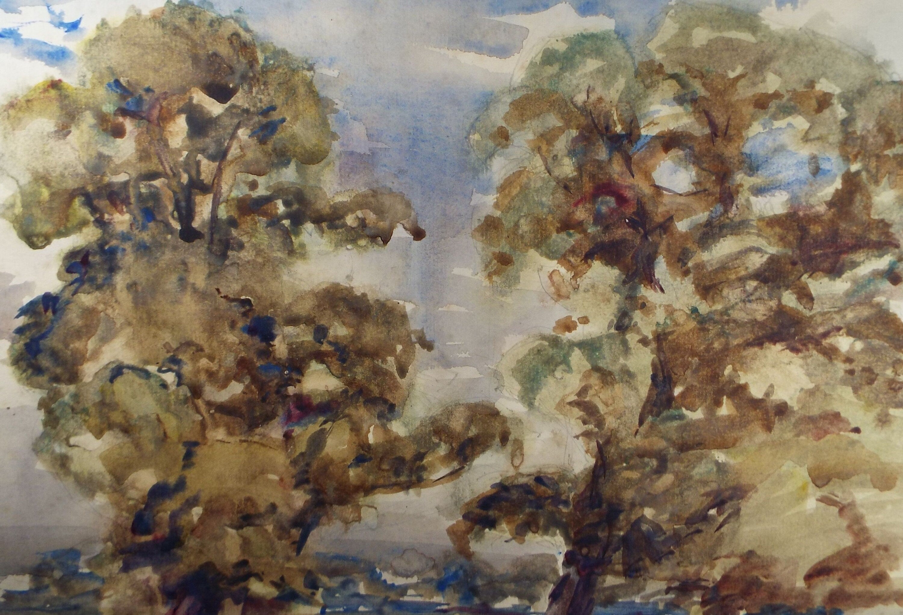 Original Watercolour, 'Study of two Elms' , C R Chase (1893-1988), Circa 1950's