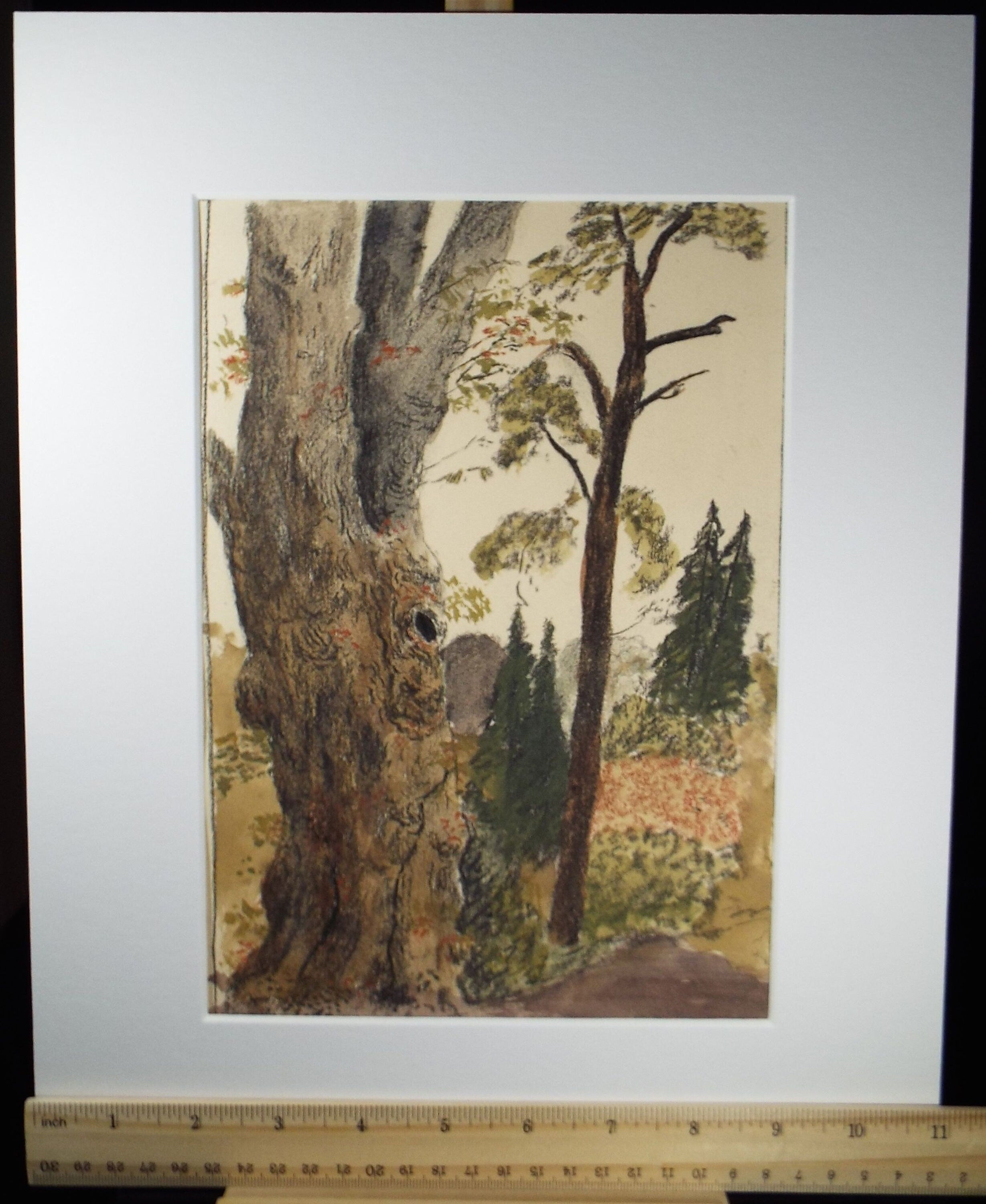 Original Wtercolour & Gouache, 'Gardens, Newby Hall', Dated 1957,  Artist Unknown