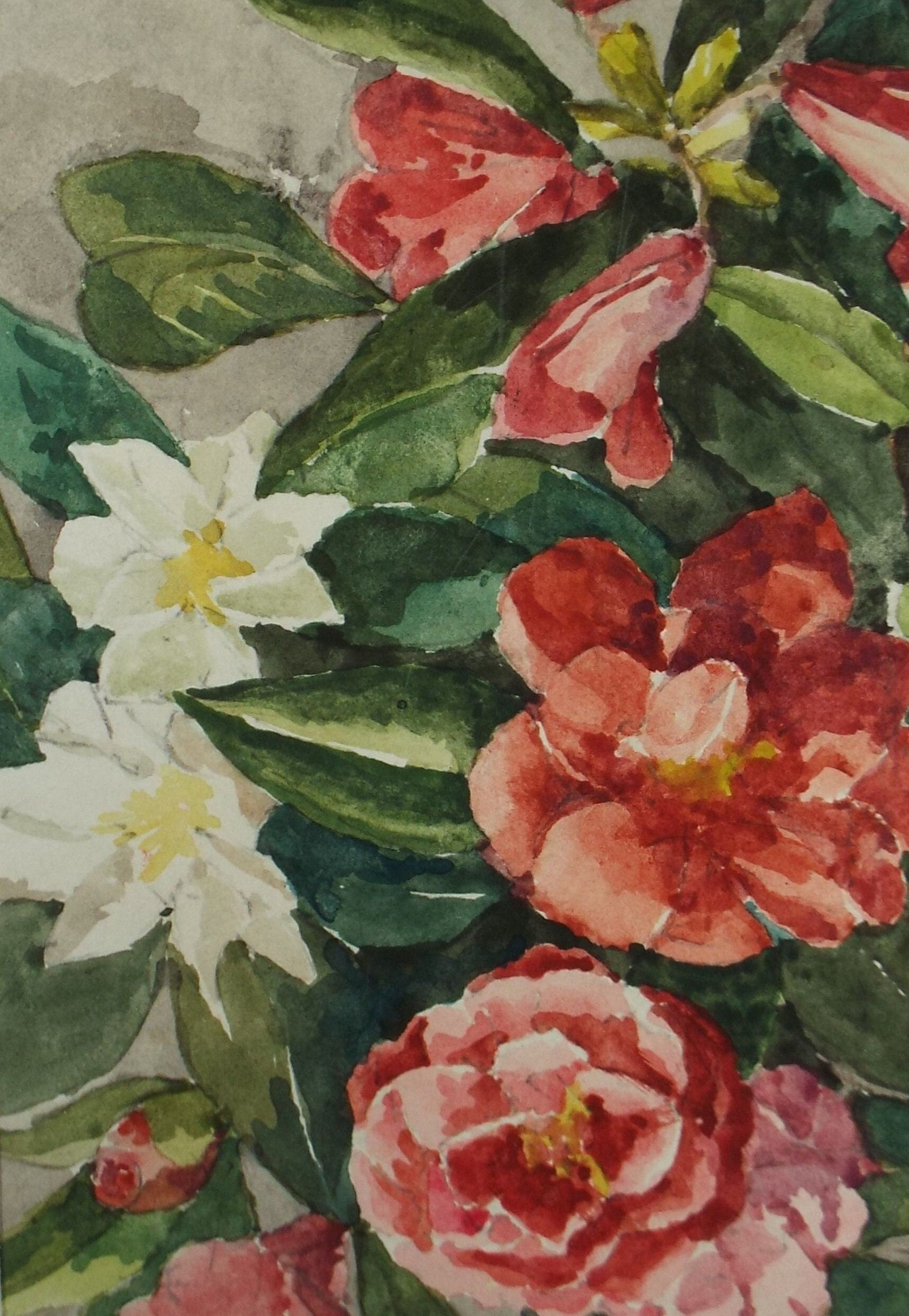 Original Watercolour, 'Still life of Camellias', Circa 1950's, Artist Unknown