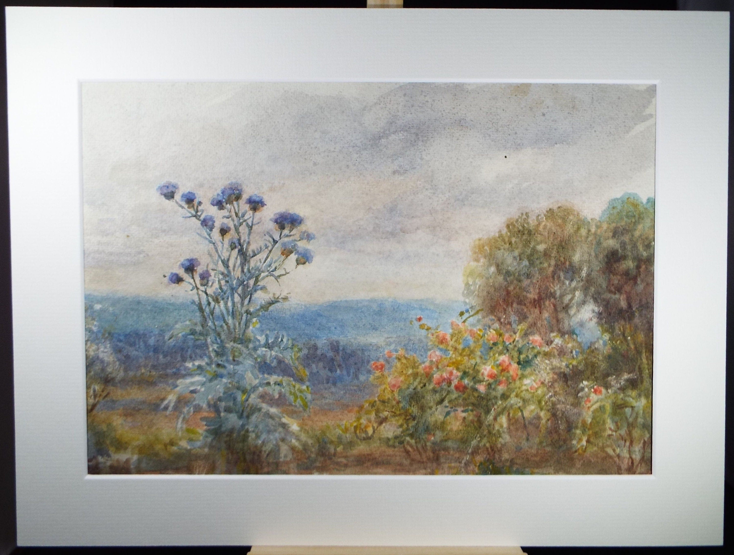 Original Watercolour, 'Sea Holly & Wild Roses', Circa 1950's, C R Chase (1898-1988)