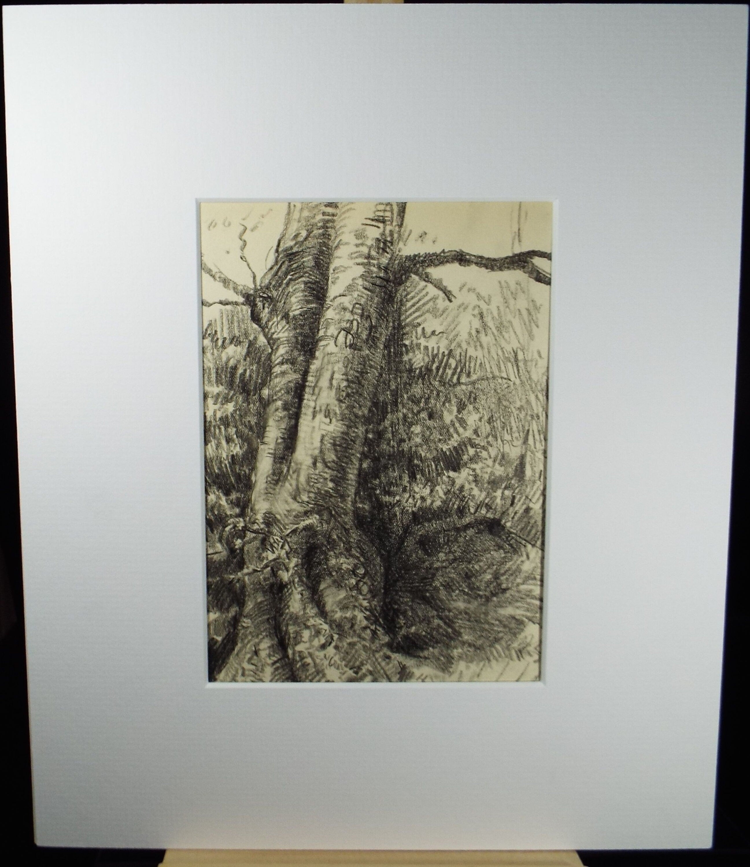 Original Pencil Drawing, 'Woodland Study', Early 20th Century, Artist Unknown