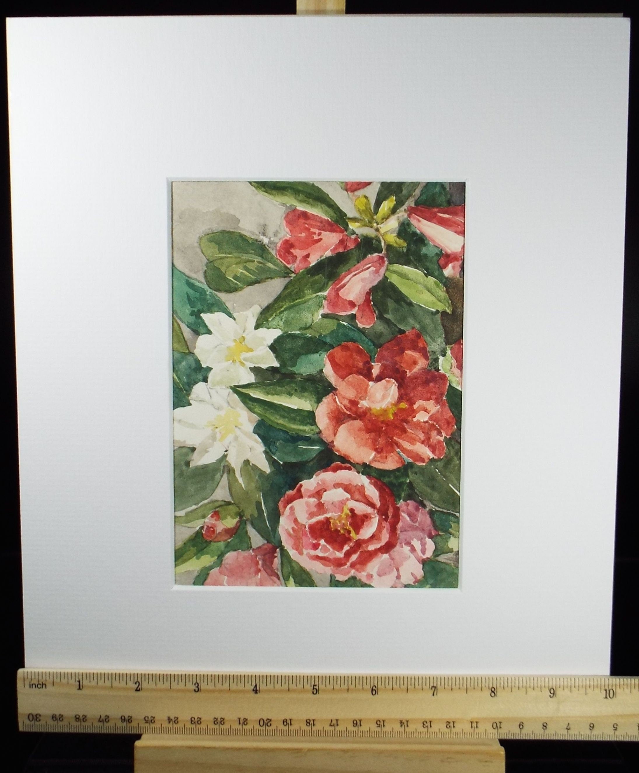 Original Watercolour, 'Still life of Camellias', Circa 1950's, Artist Unknown