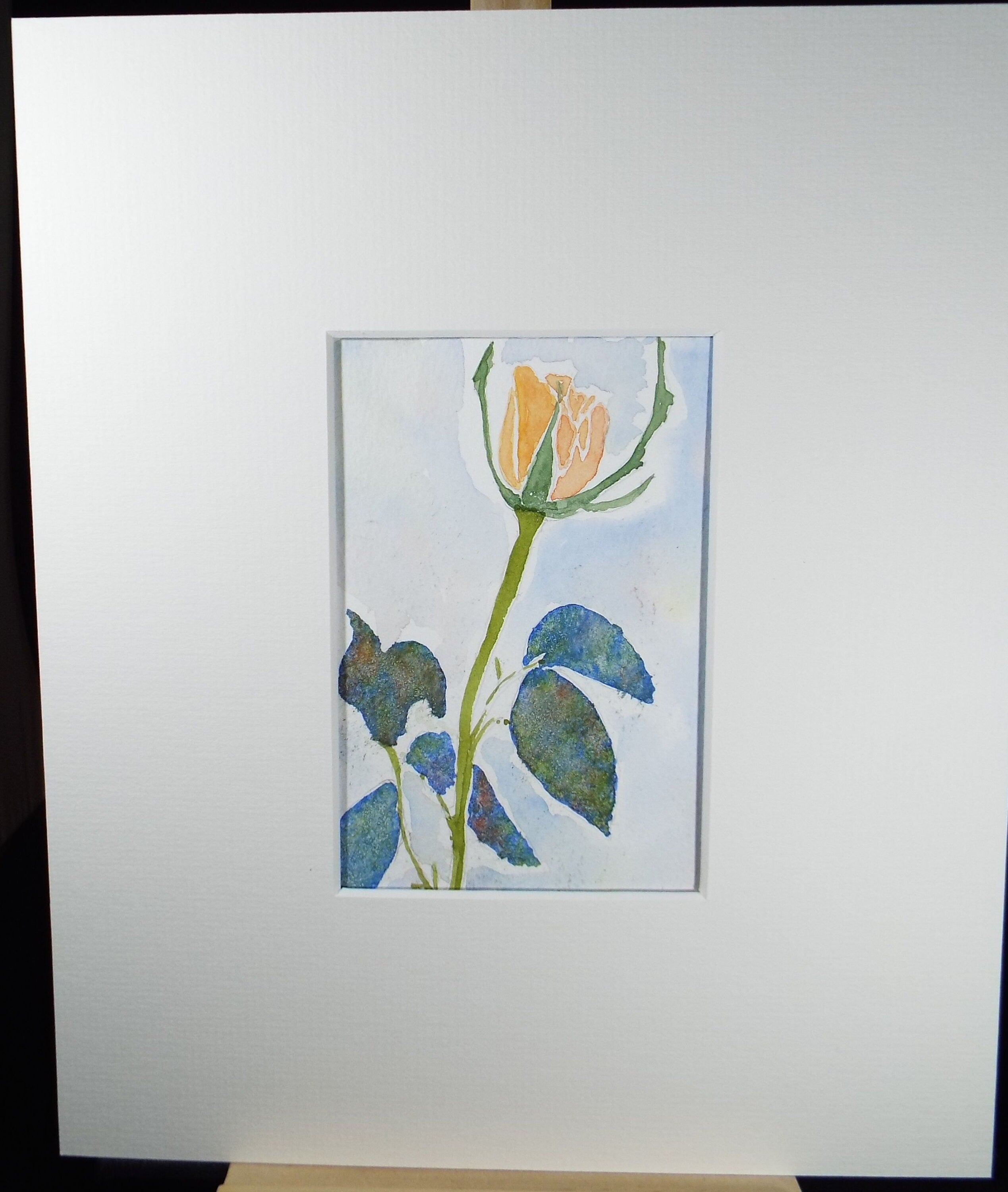 Original Watercolour, 'Study of a Rose' , circa 2000, Artist Unknown