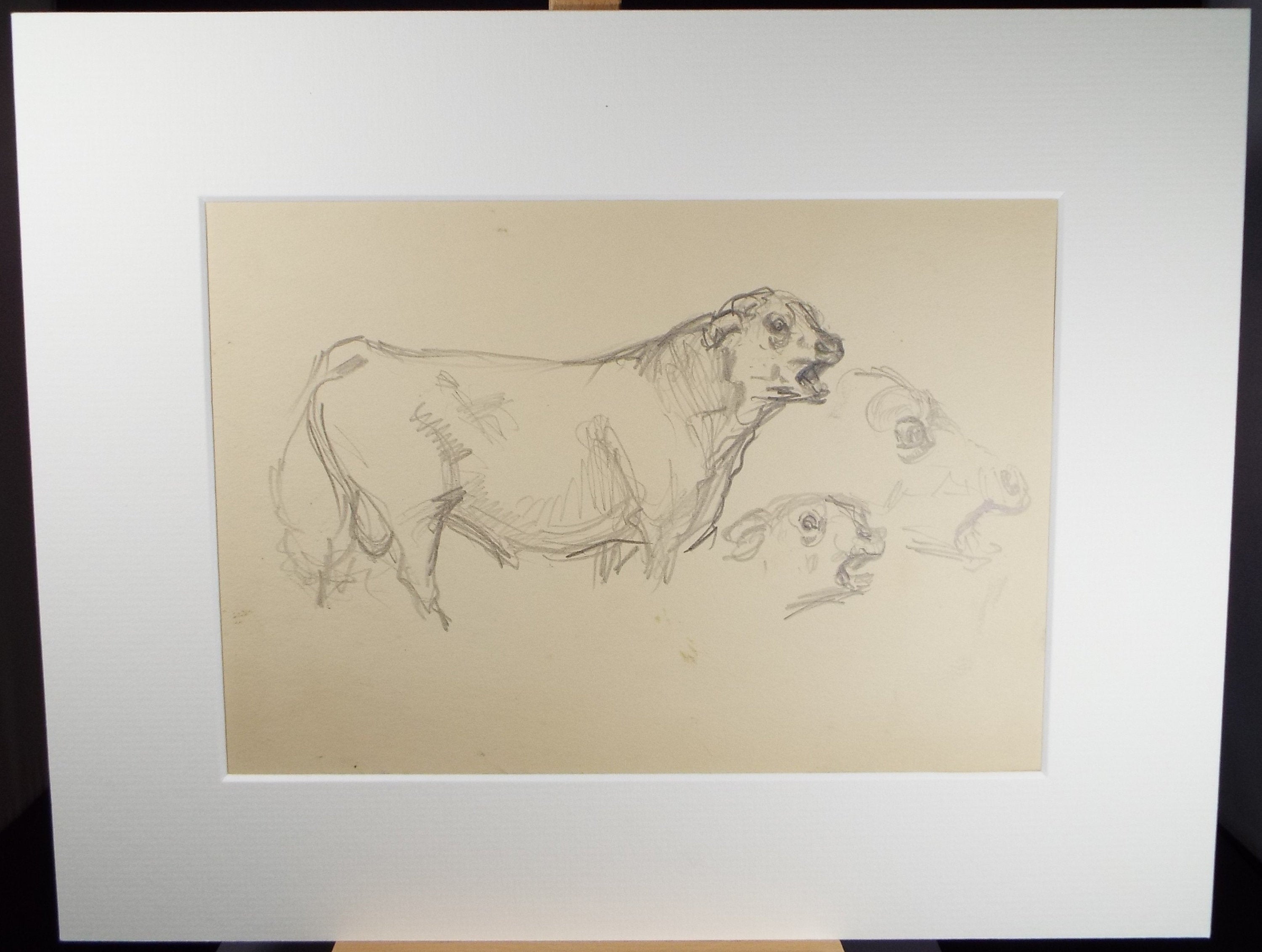 Original Pencil Sketch, Michael Lyne (1912-1989), 'Bull Study', Mid 20th Century