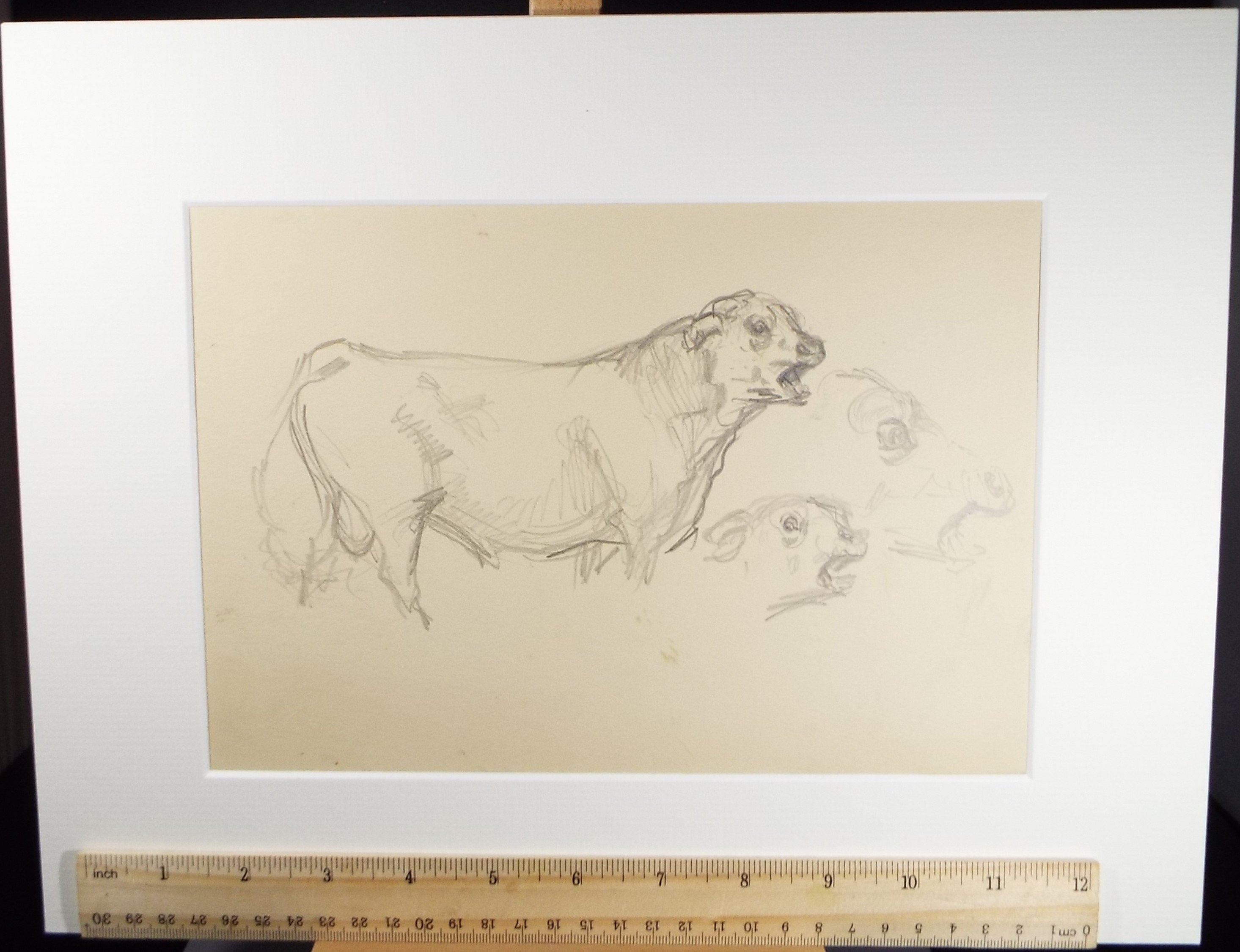 Original Pencil Sketch, Michael Lyne (1912-1989), 'Bull Study', Mid 20th Century