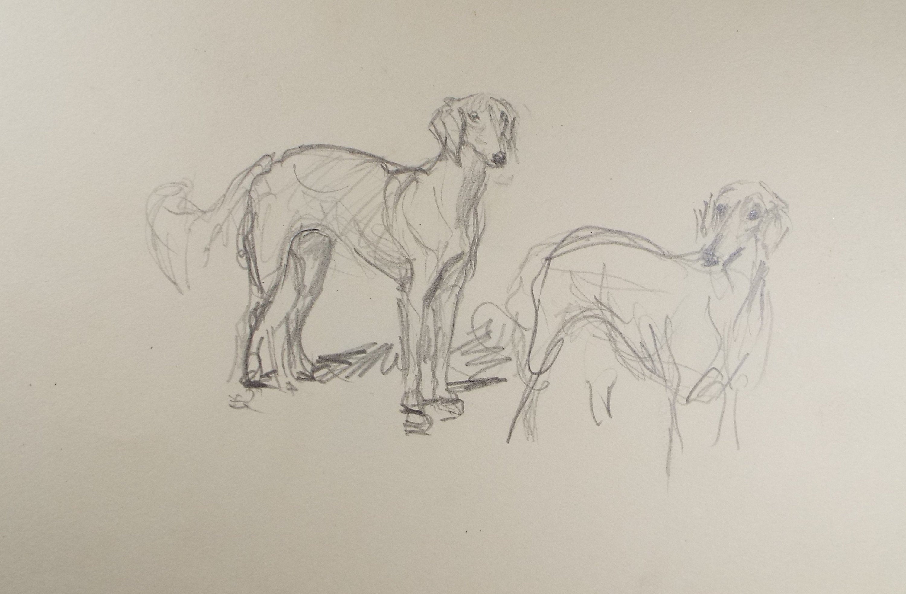 Original Pencil Sketch, Michael Lyne (1912-1989),' Lurcher Study', Mid 20th Century