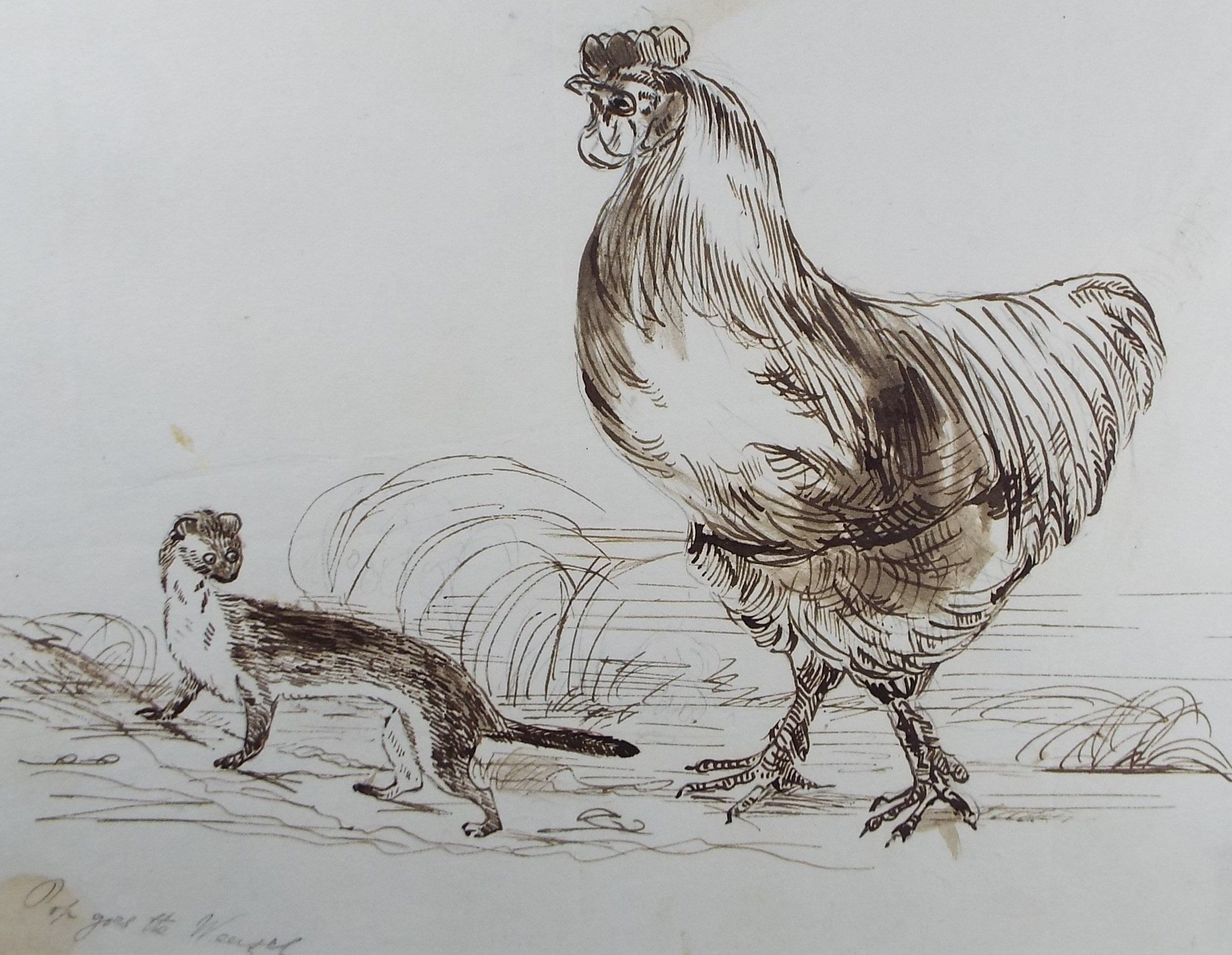 Original Pen & Ink Drawing, 'Pop goes the weasel', Mid 19th Century, Artist Unknown