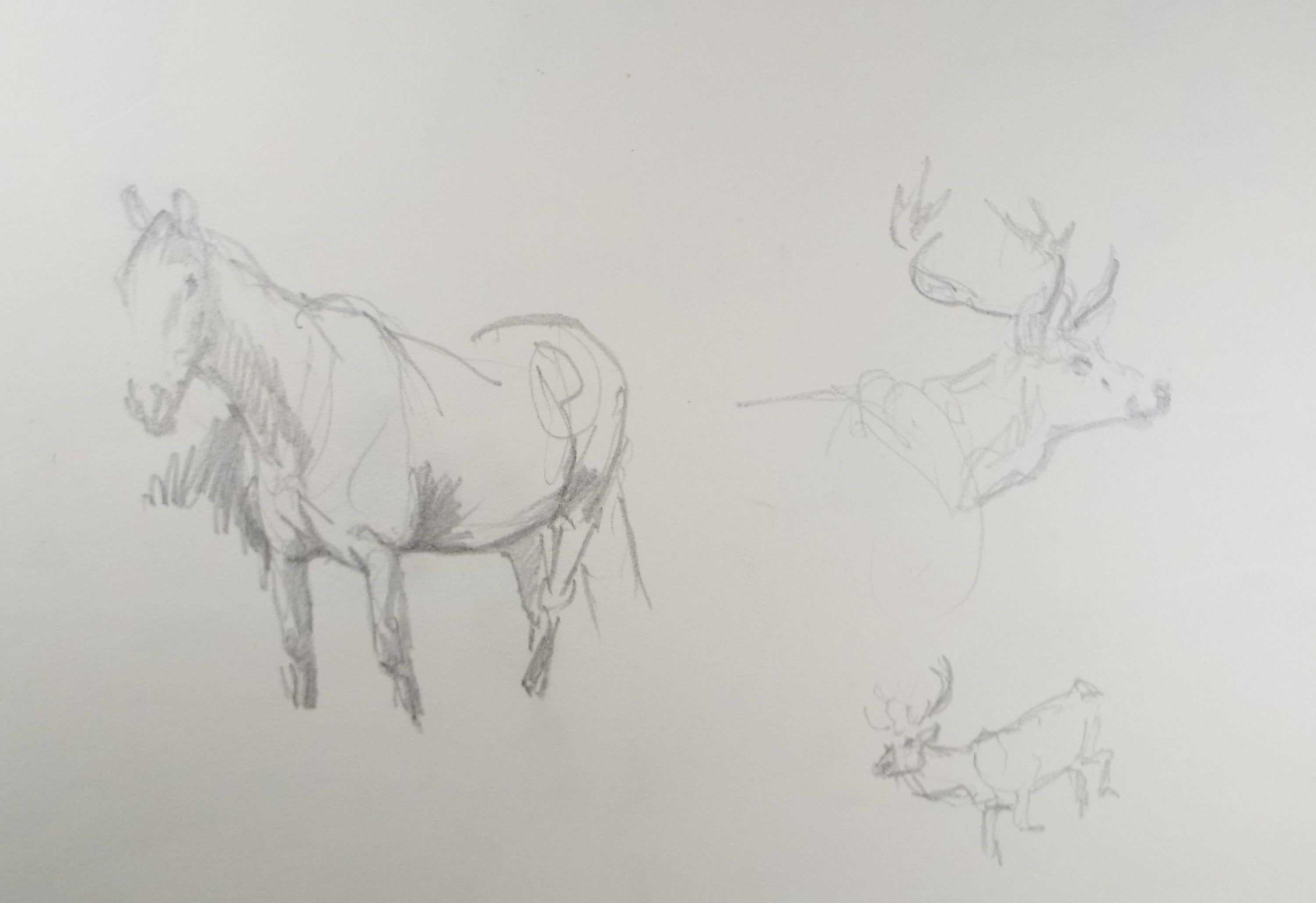 Original Pencil Sketch, Michael Lyne (1912-1989), 'Horse and Stag Study, Mid 20th Century