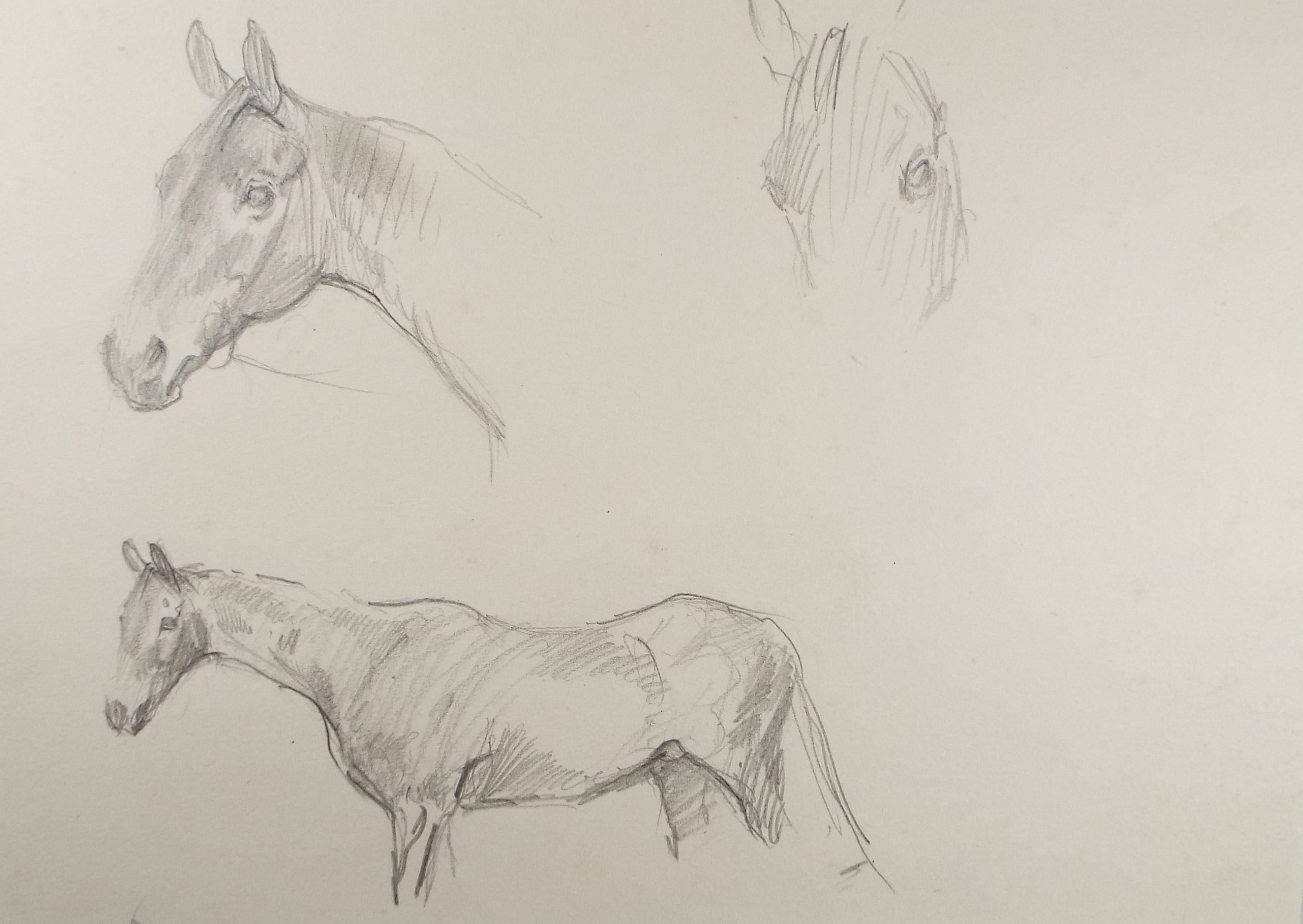 Original Pencil Sketch, Michael Lyne (1912-1989), 'Horse Study', Mid 20th Century