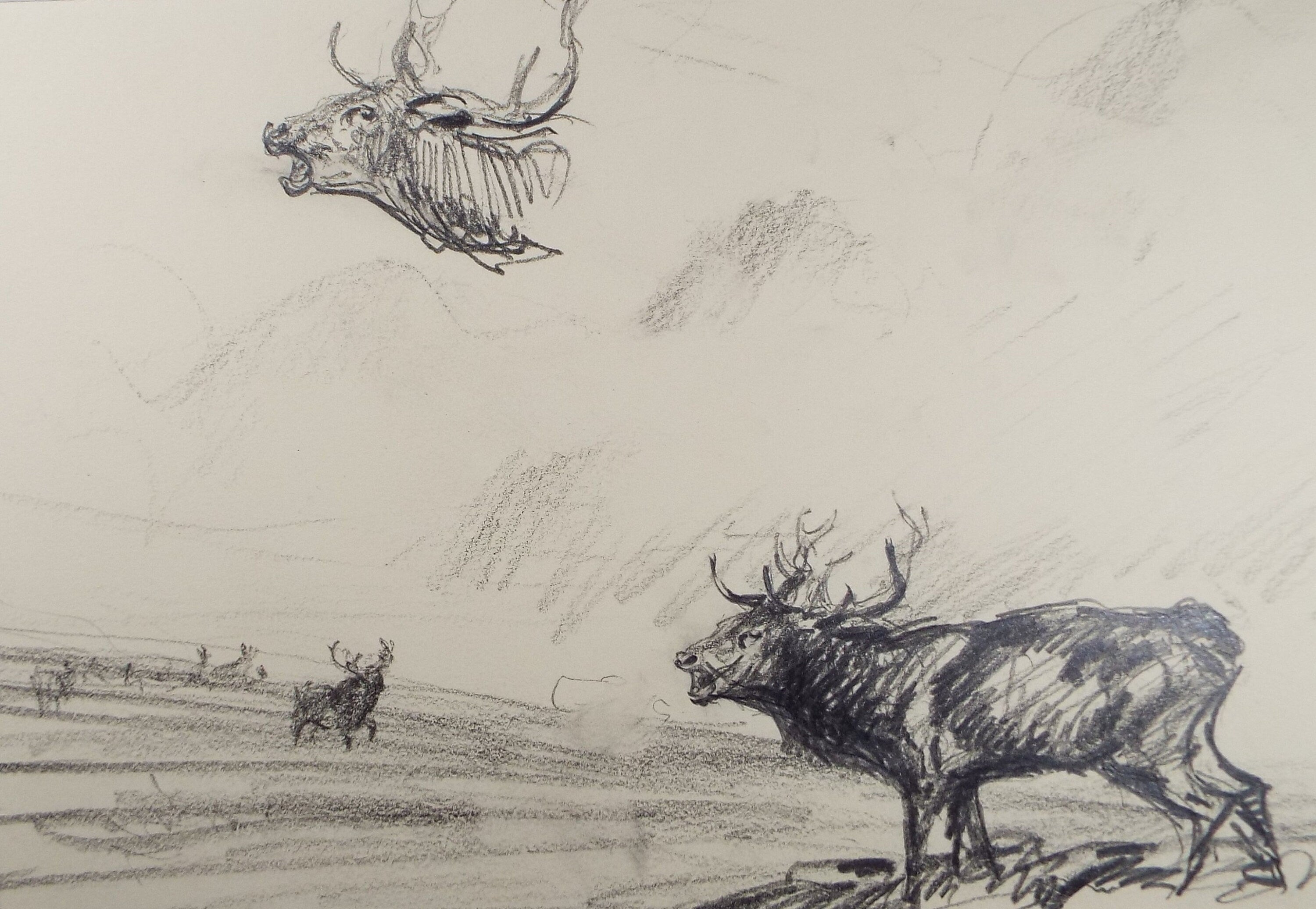 Original Pencil Sketch, Michael Lyne (1912-1989),'Stags on the Moor, Mid 20th Century