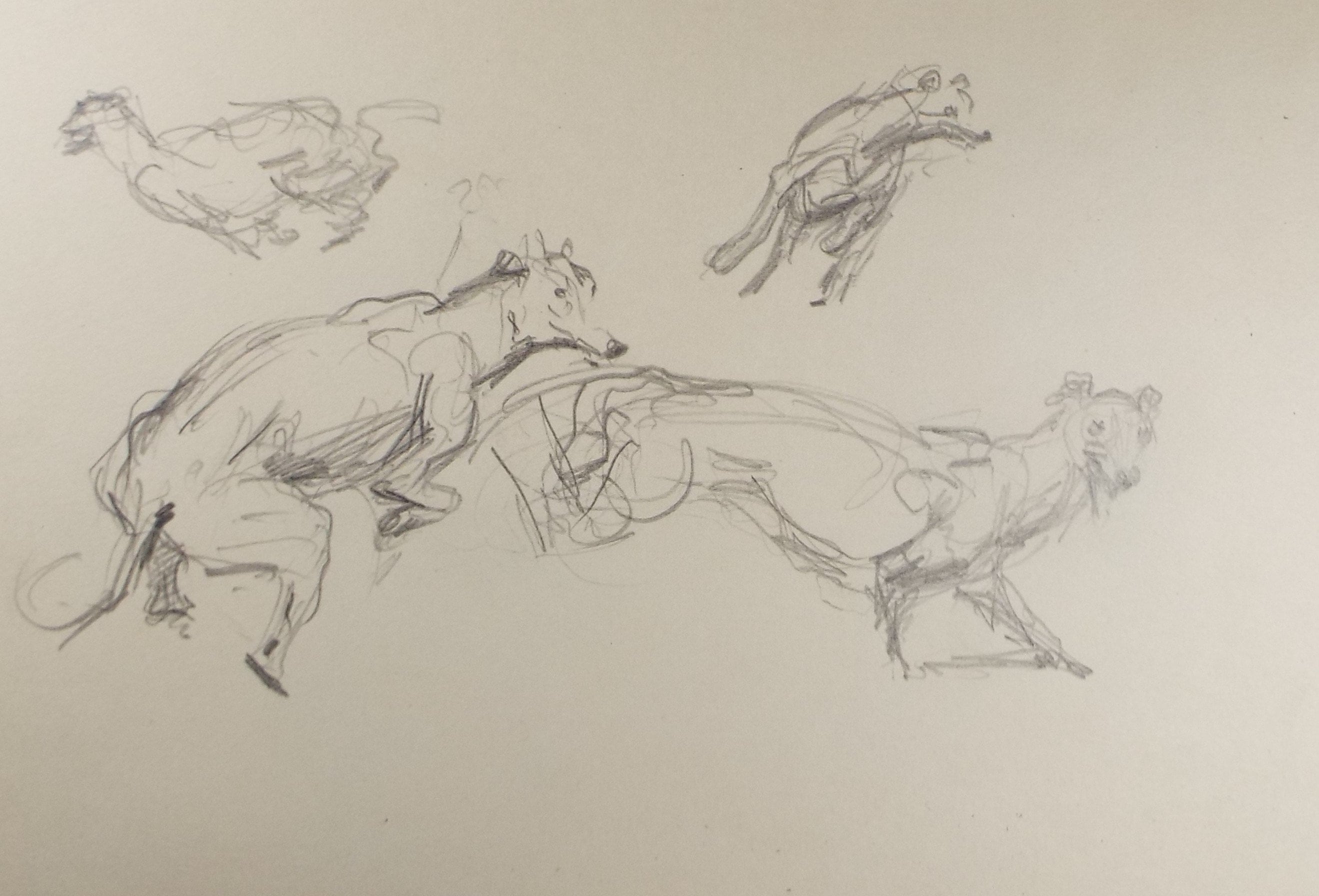 Original Pencil Sketch, Michael Lyne (1912-1989, 'Study of Greyhounds', Mid 20th Century