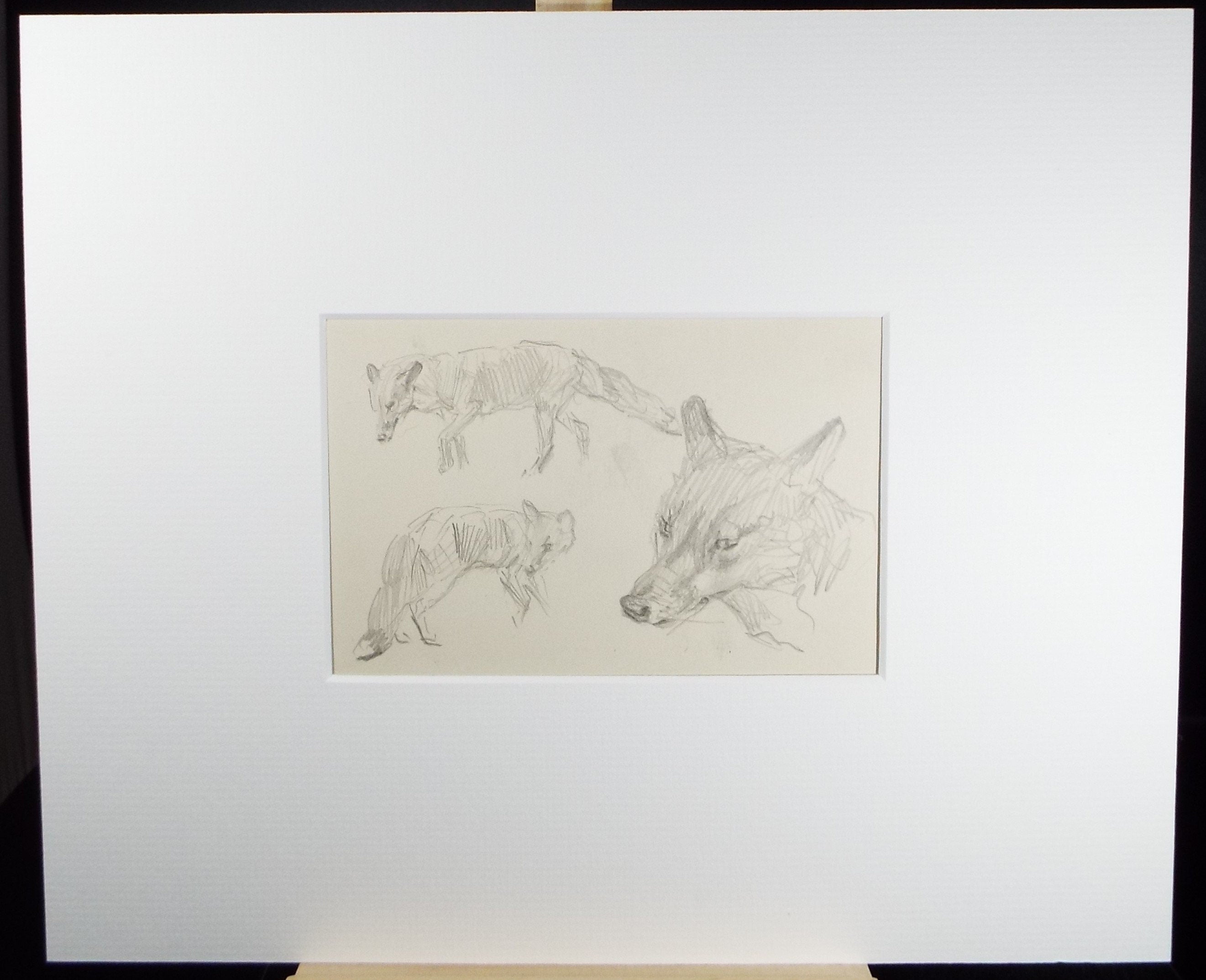 Original Pencil Sketch, Michael Lyne (1912-1989), 'Fox Study', Mid 20th Century