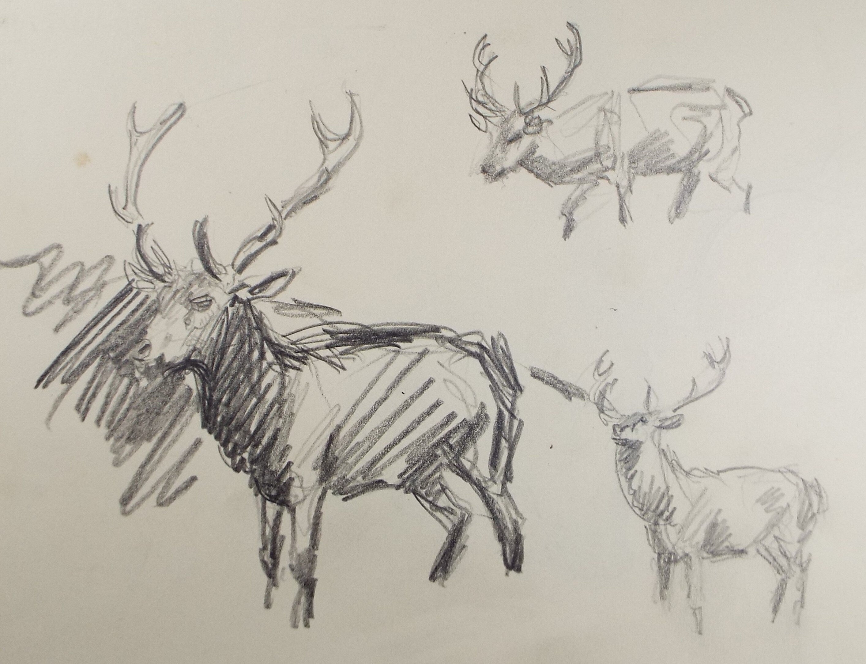 Original Pencil Sketch, Michael Lyne (1912-1989), 'Study of Stags', Mid 20th Century