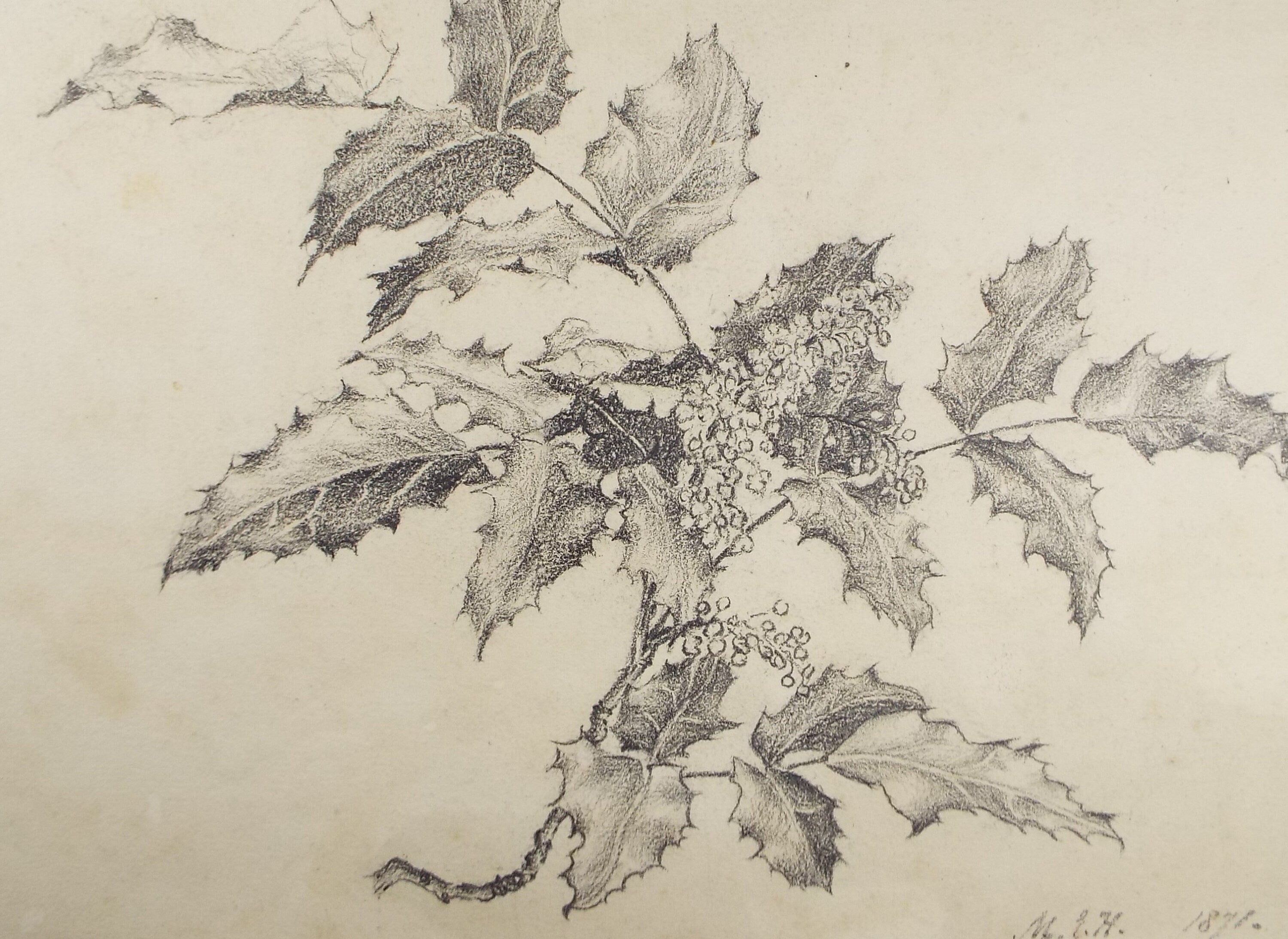 Original Pencil Drawing, 'Holly Study', Dated 1871, Initialled M.E.H