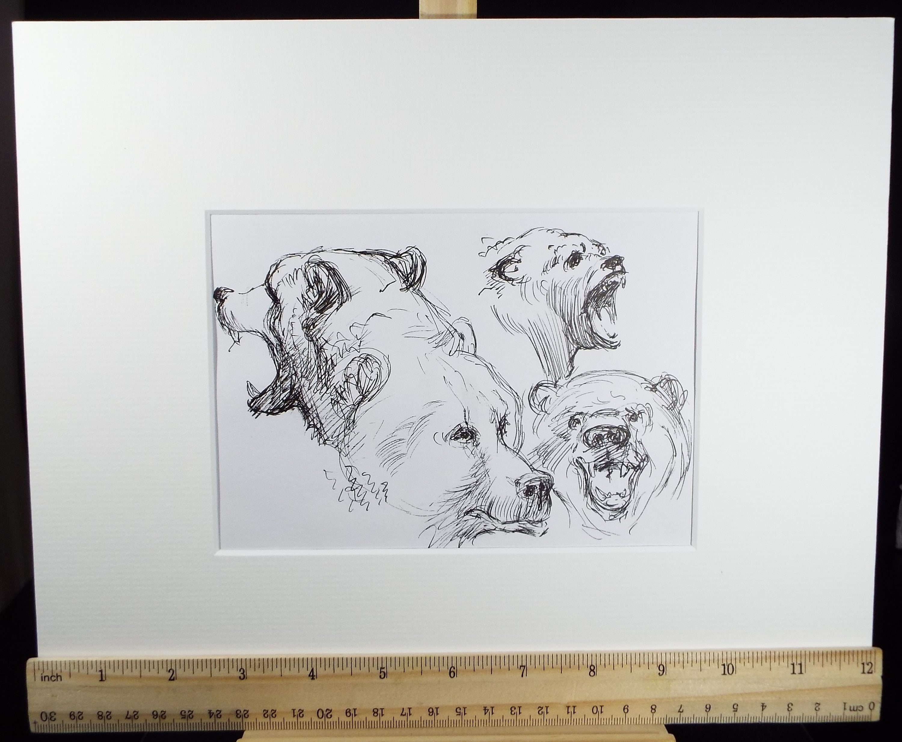 Original Pen & Ink,  'Bear Study', Circa 1990's , John Williams (20th Century British)