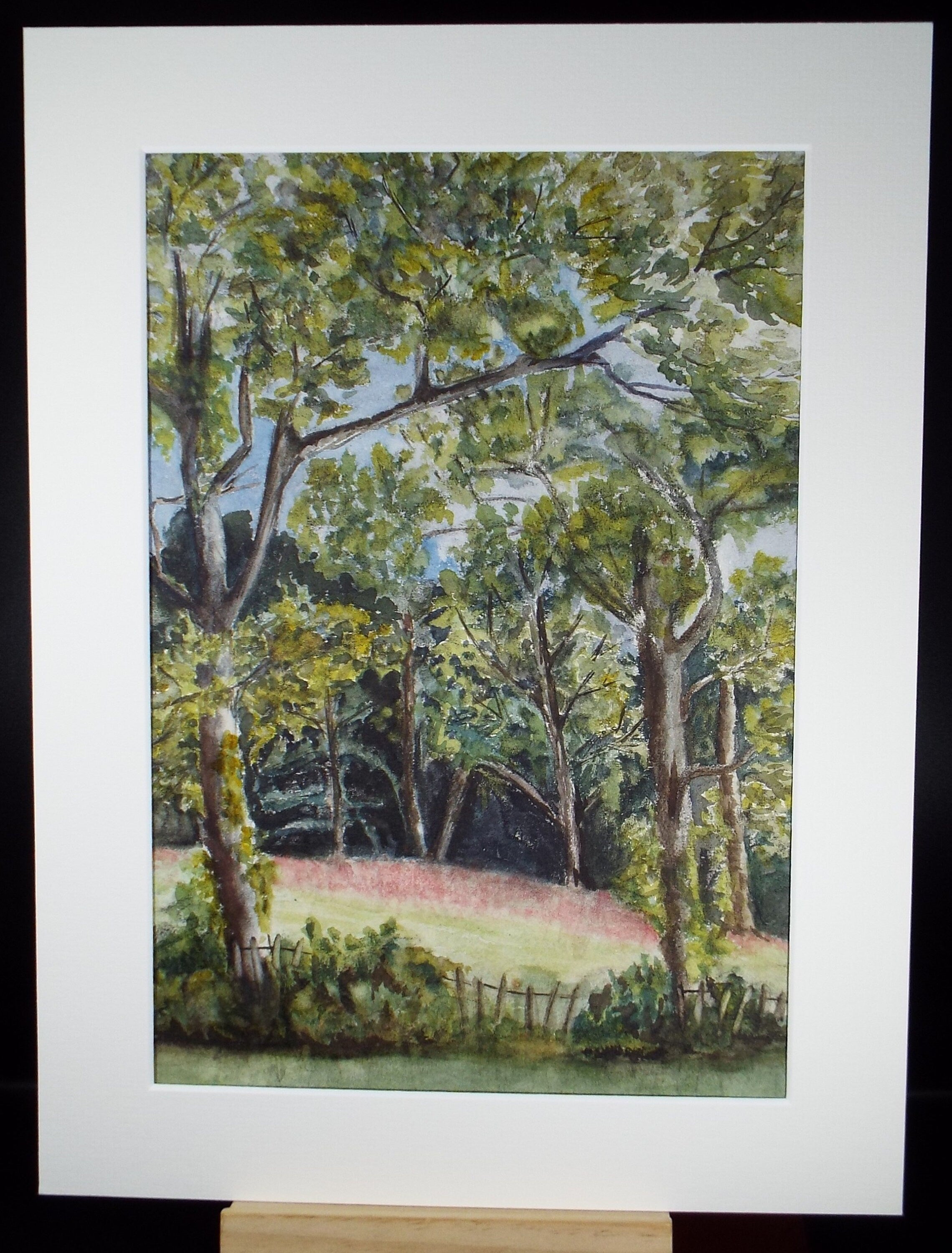 OriginalWatercolour, 'A woodland clearing', Circa 1950's, Artist Unknown