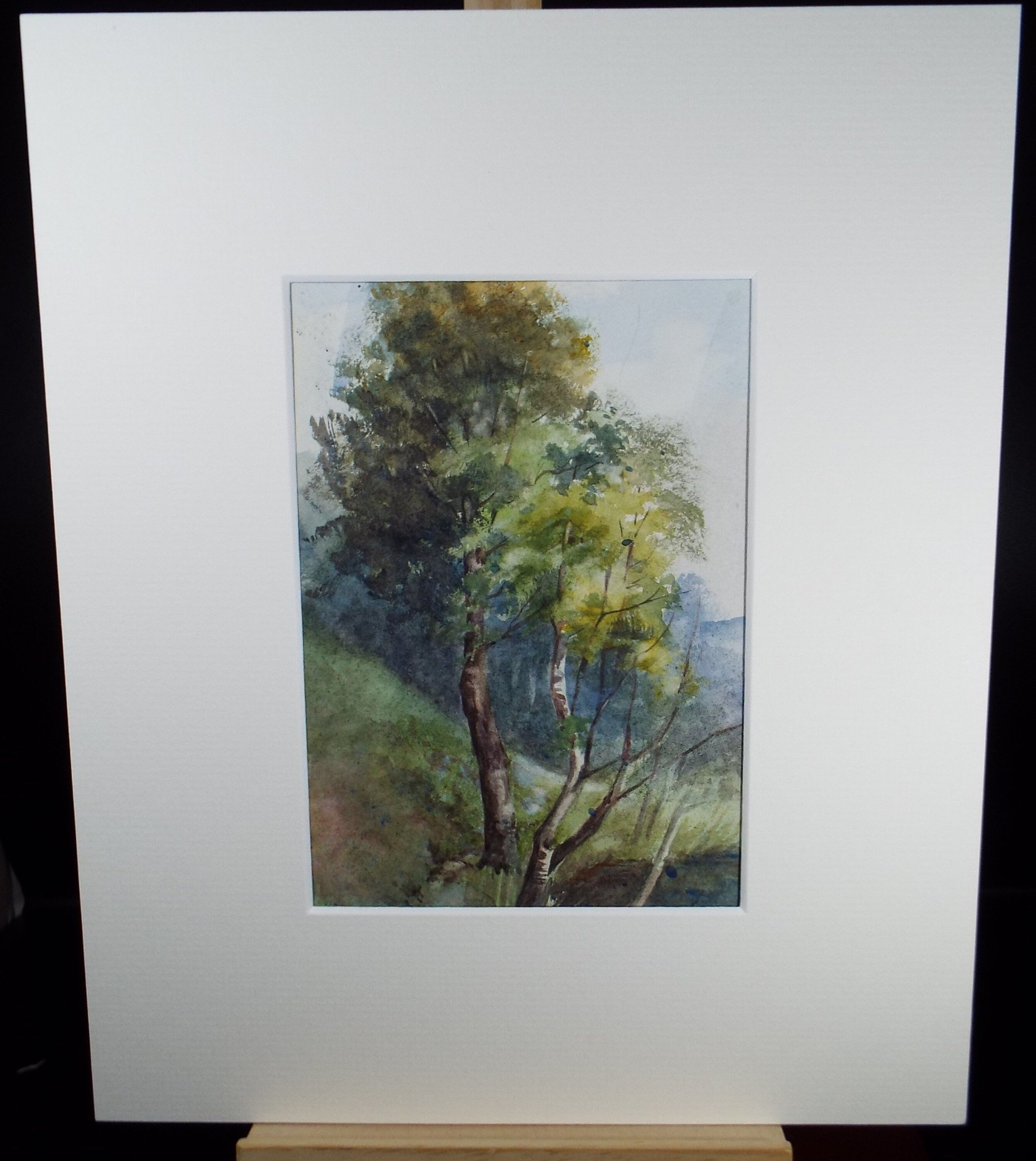 Original Watercolour Sketch , 'A Study of Trees', c1910, Unknown Artist