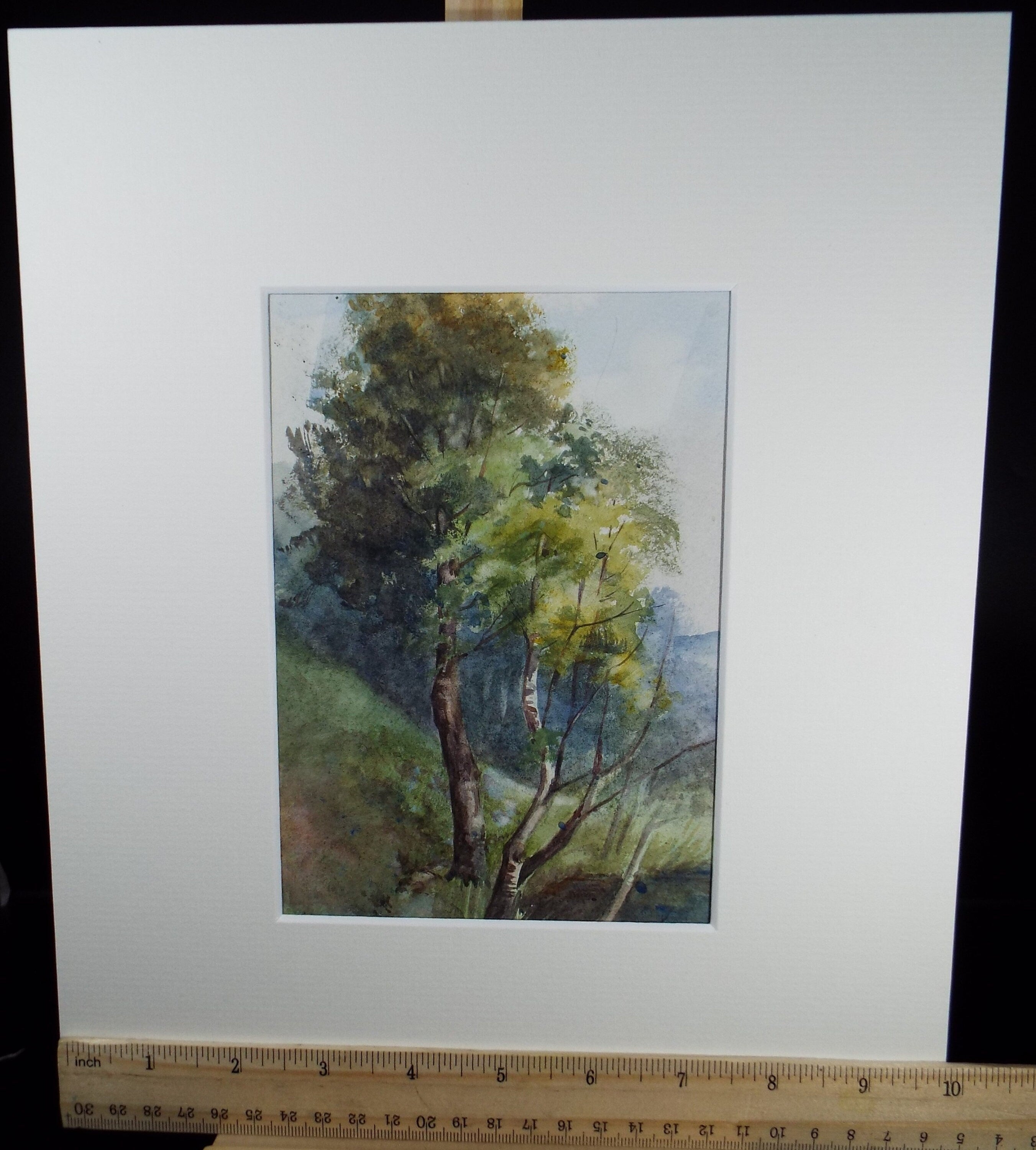 Original Watercolour Sketch , 'A Study of Trees', c1910, Unknown Artist