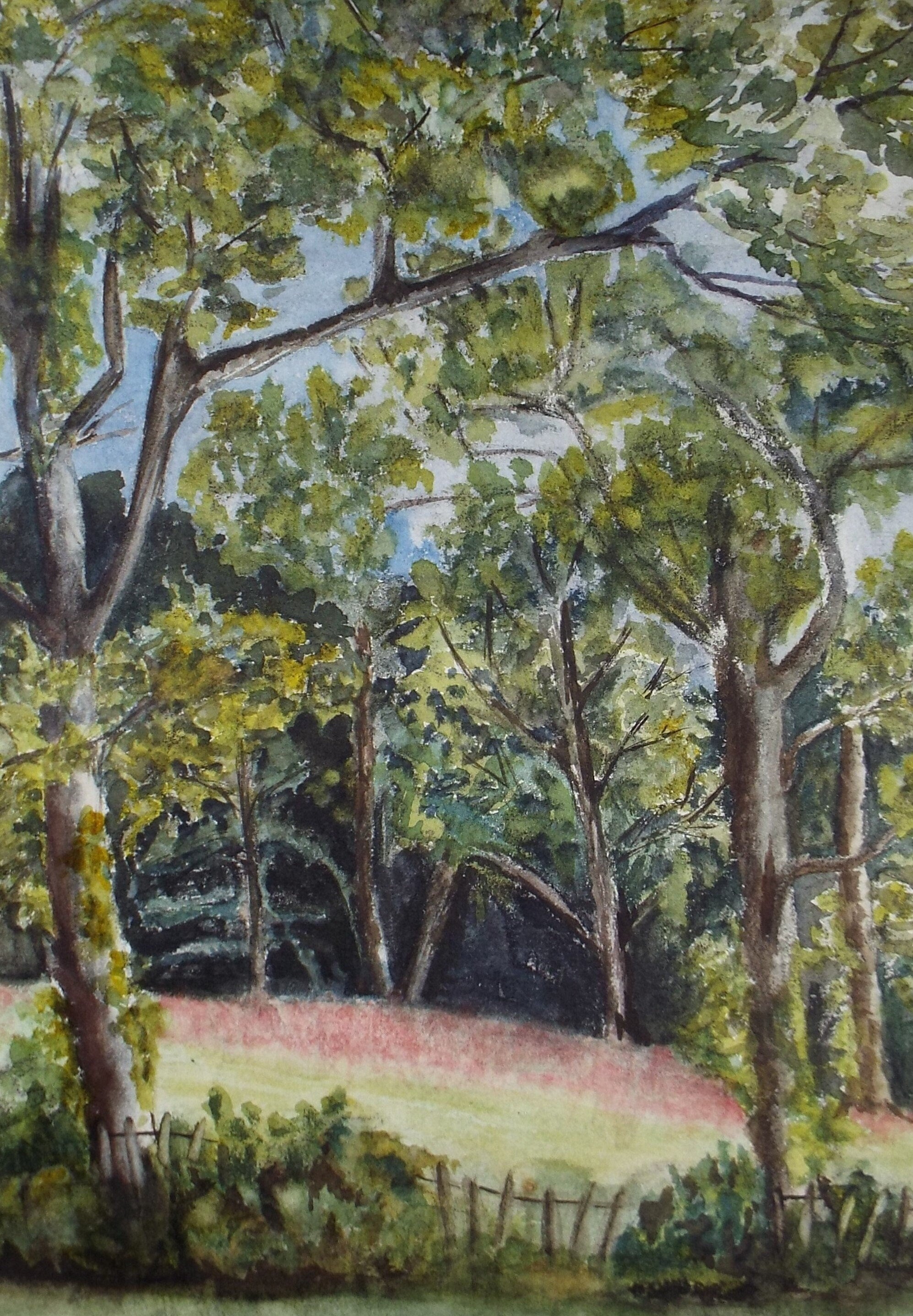 OriginalWatercolour, 'A woodland clearing', Circa 1950's, Artist Unknown