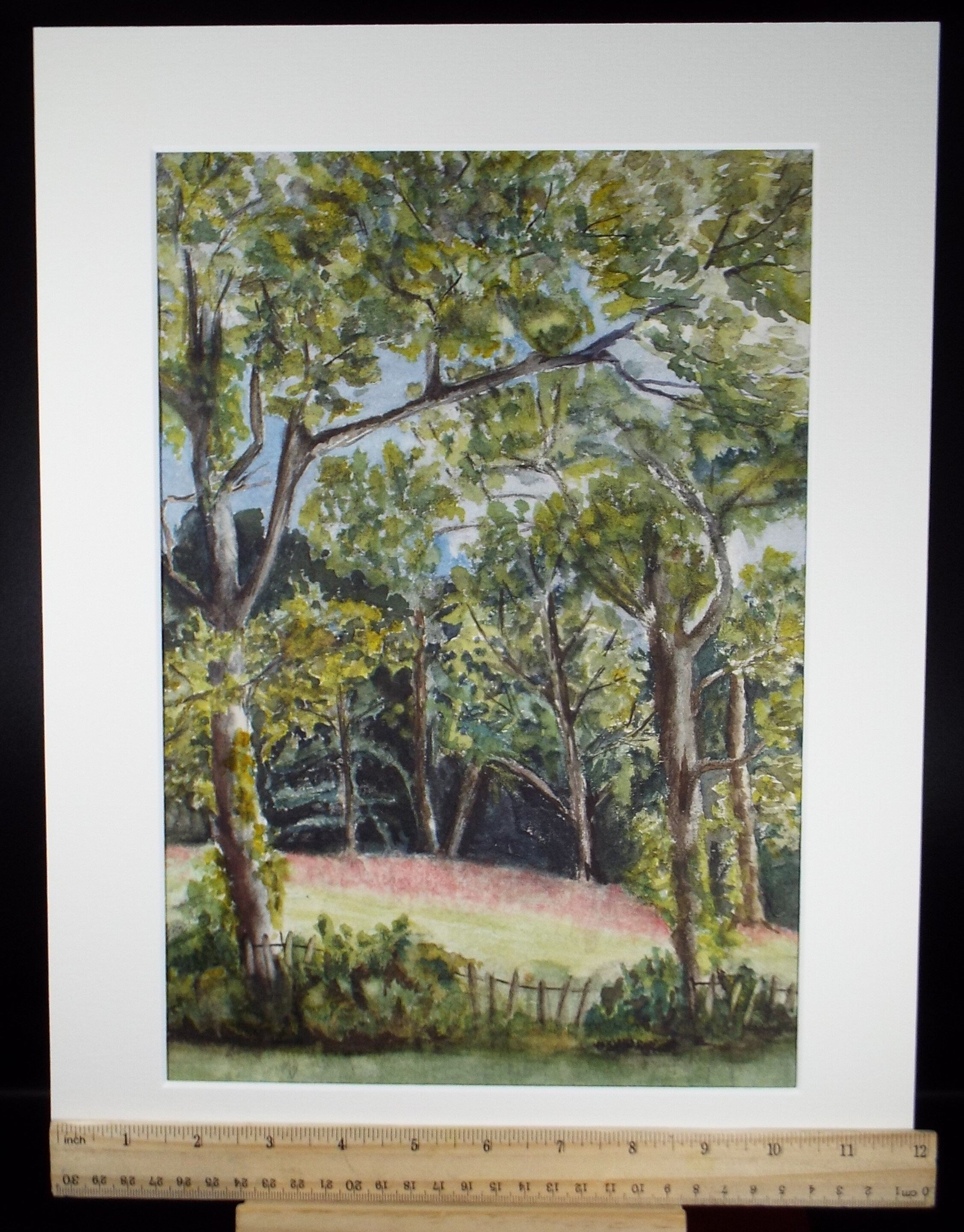 OriginalWatercolour, 'A woodland clearing', Circa 1950's, Artist Unknown