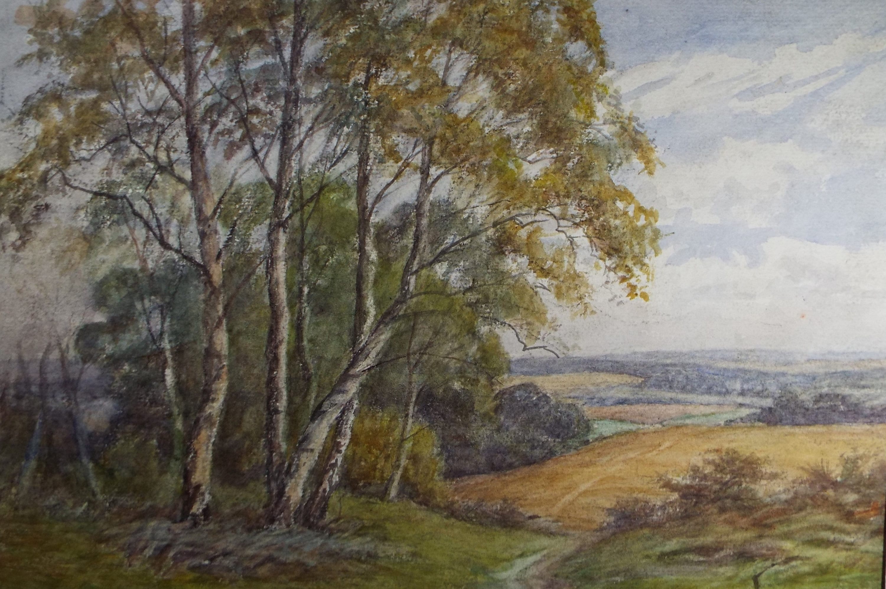 Original Watercolour 'Landscape with Birch Trees', c1950, Unknown Artist