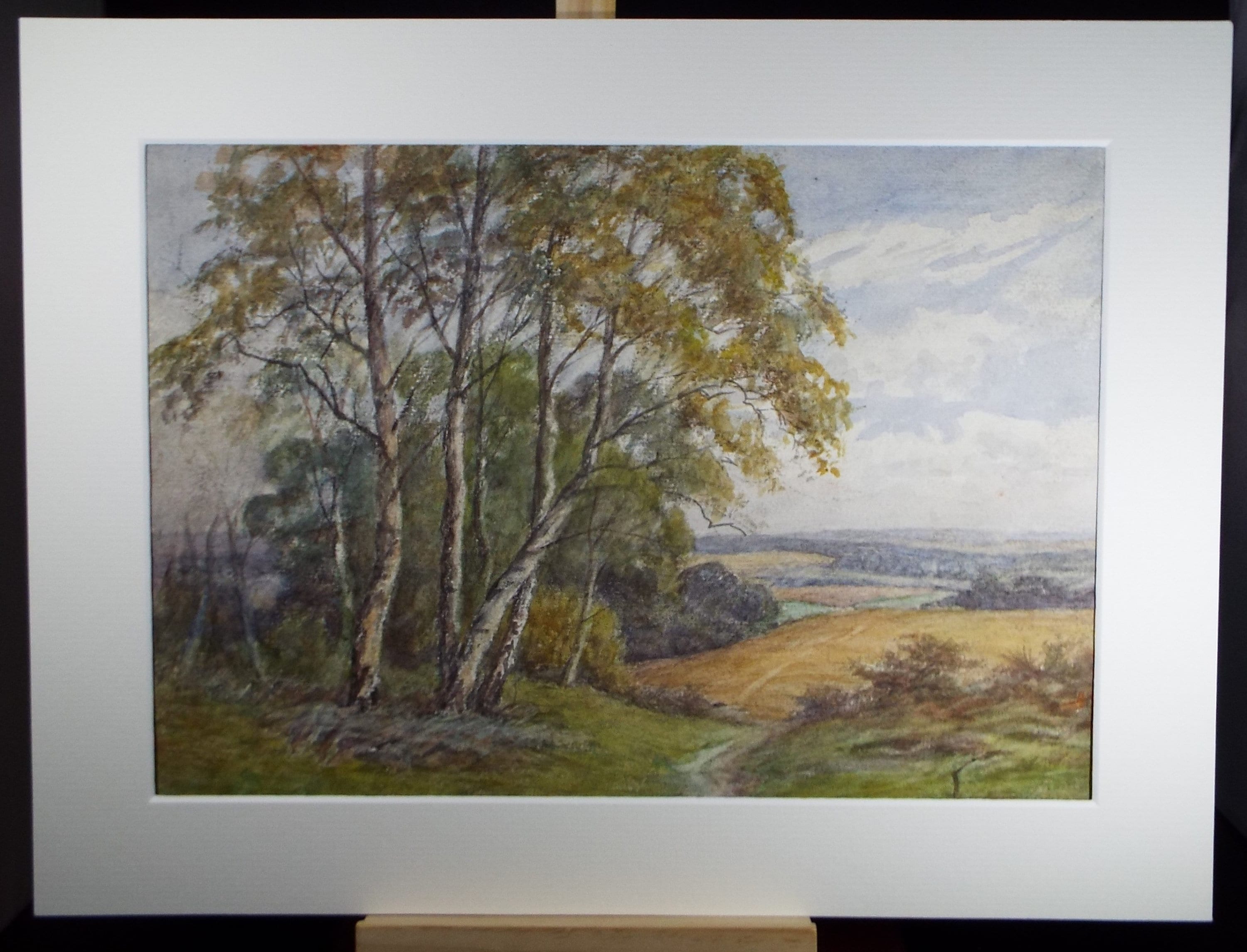 Original Watercolour 'Landscape with Birch Trees', c1950, Unknown Artist