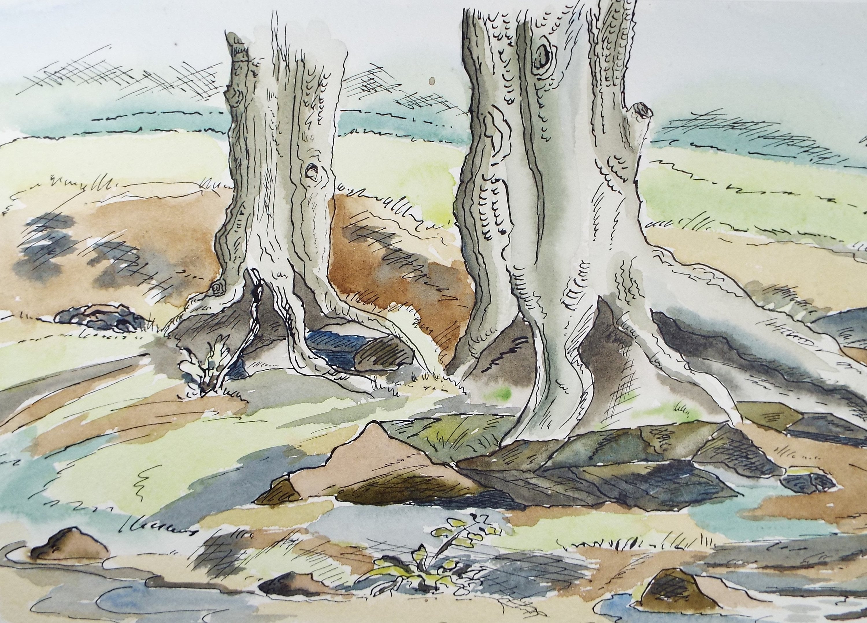 Original Watercolour, 'Riverbank tree study', Circa 1940's , Harry Ousey (1915-1985)