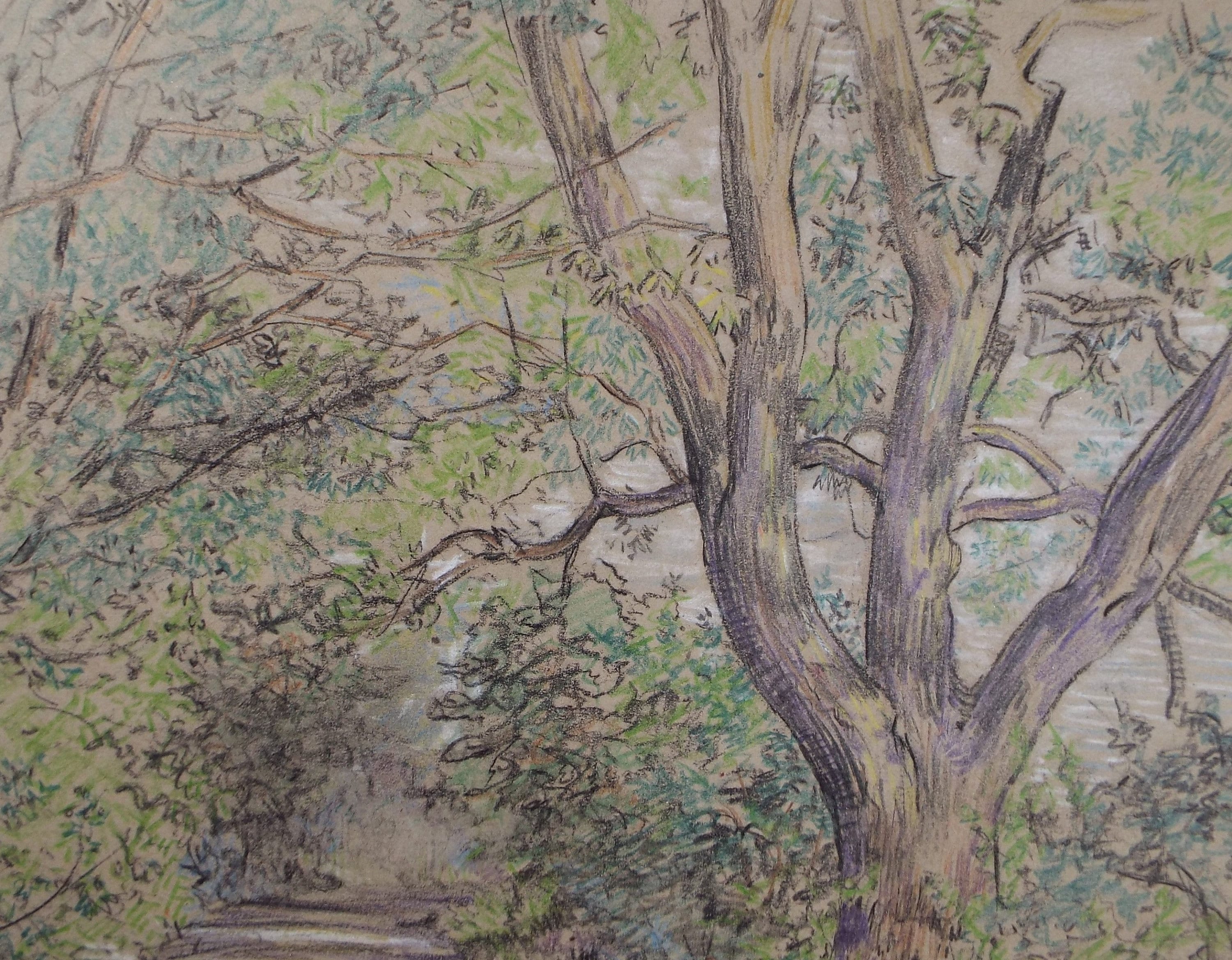 Original coloured Pencil, 'Woodland Lane', Circa 1950's , Hilda Burford (1887-1957)