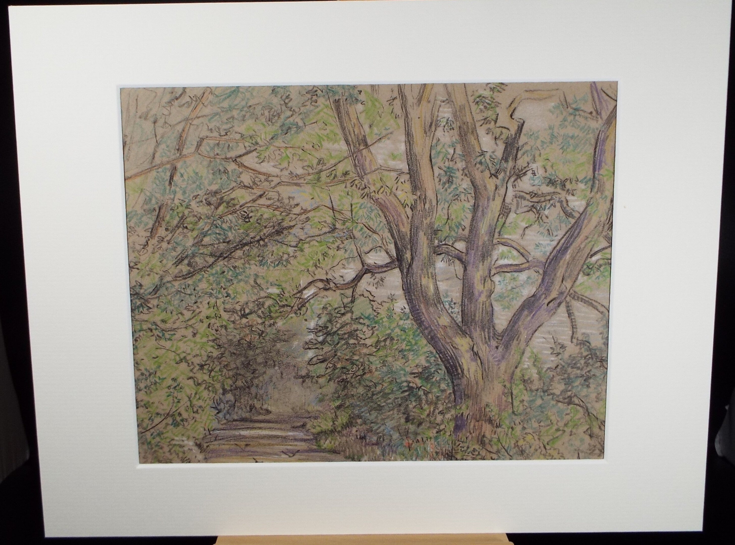 Original coloured Pencil, 'Woodland Lane', Circa 1950's , Hilda Burford (1887-1957)