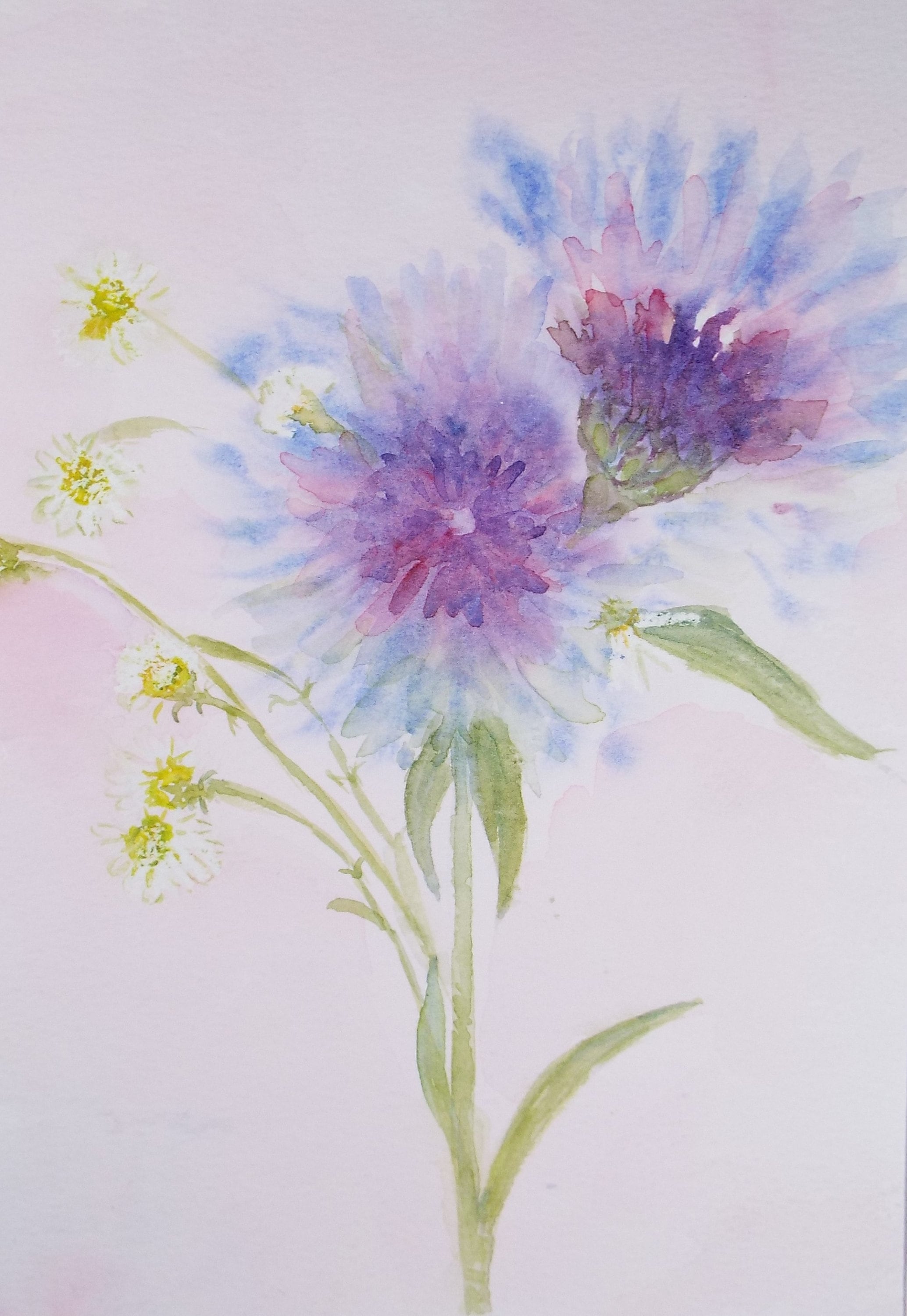 Original Watercolour, 'Study of Daisies', Circa 1990's, Artist Unknown