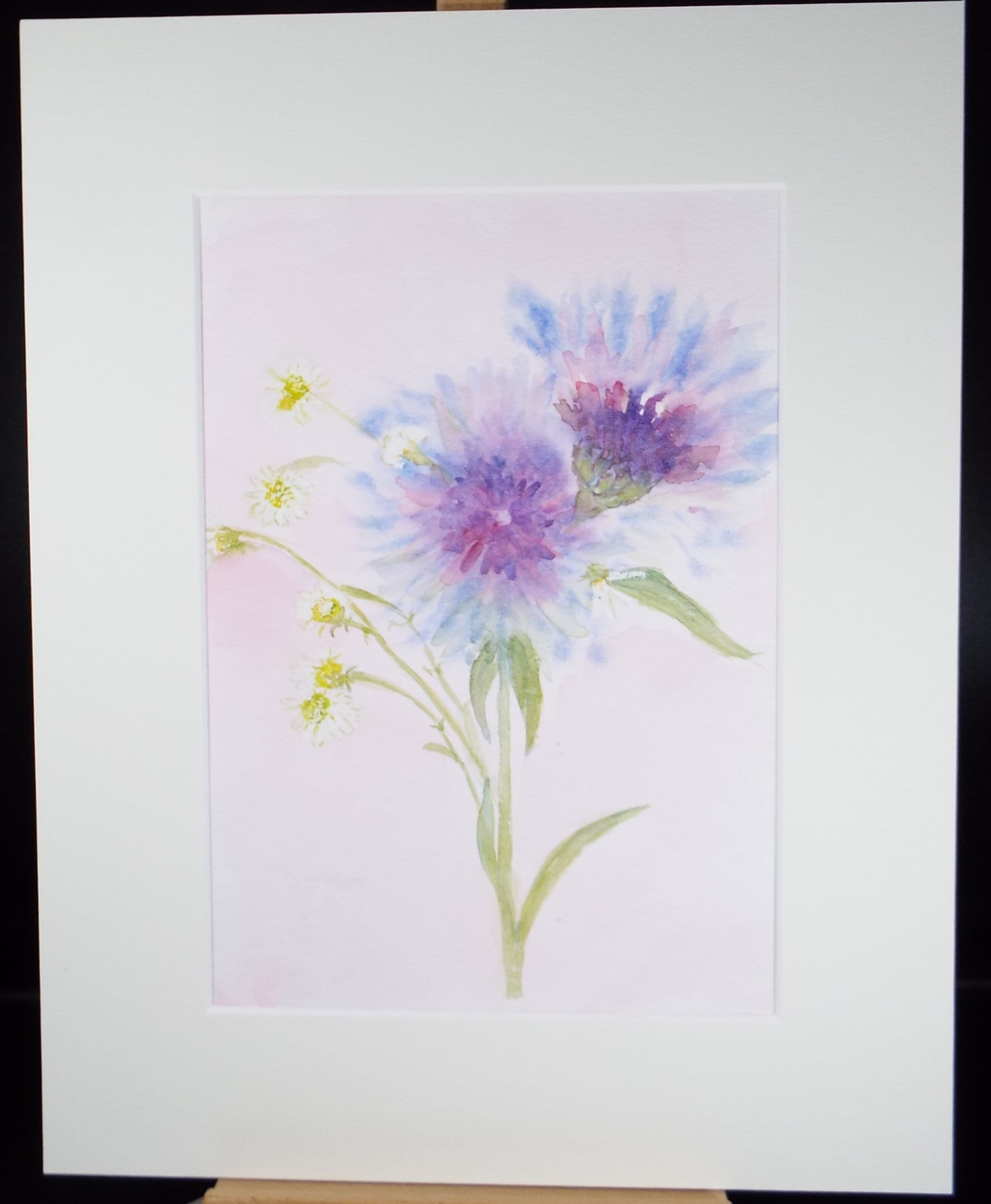 Original Watercolour, 'Study of Daisies', Circa 1990's, Artist Unknown