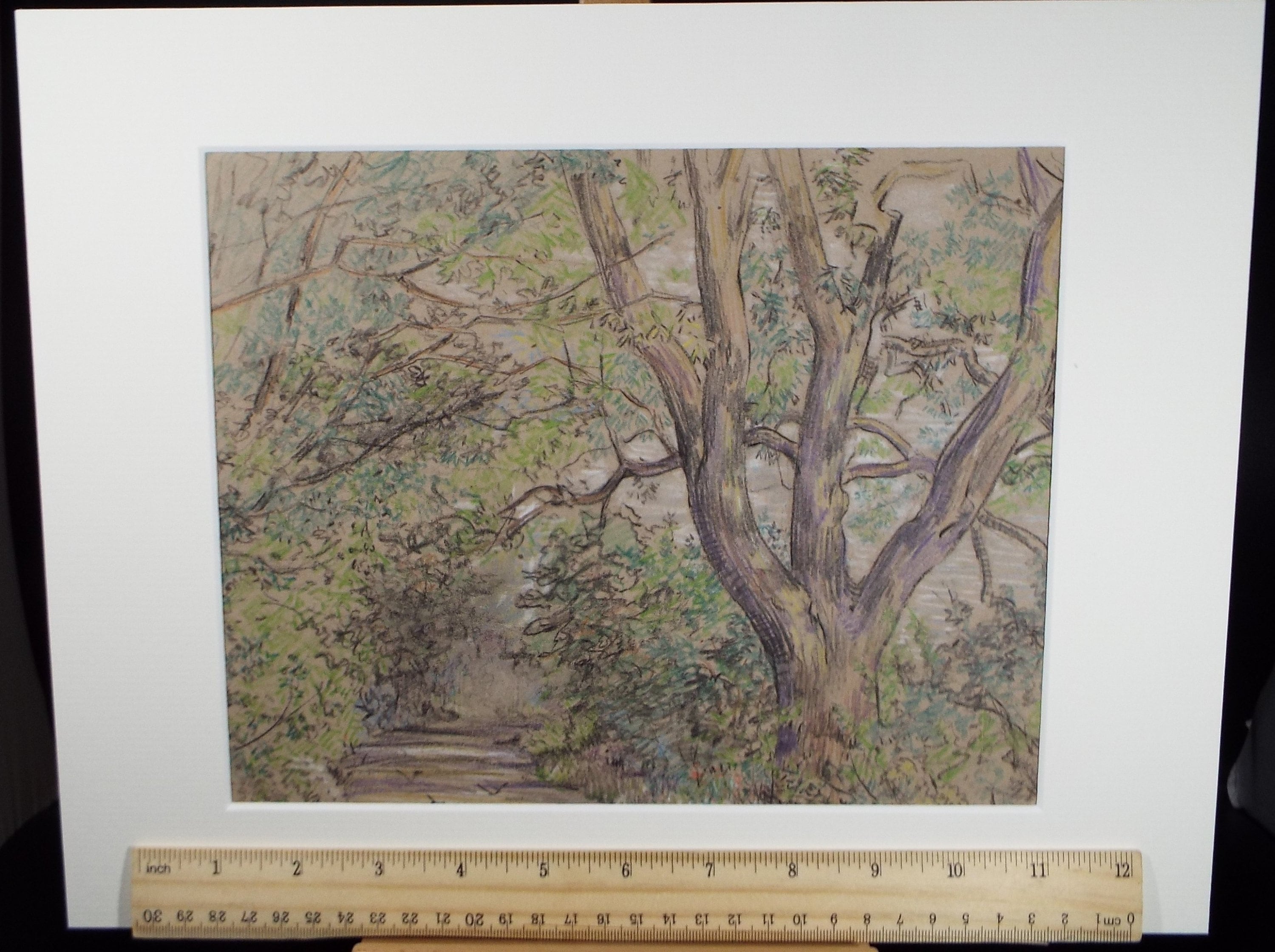 Original coloured Pencil, 'Woodland Lane', Circa 1950's , Hilda Burford (1887-1957)