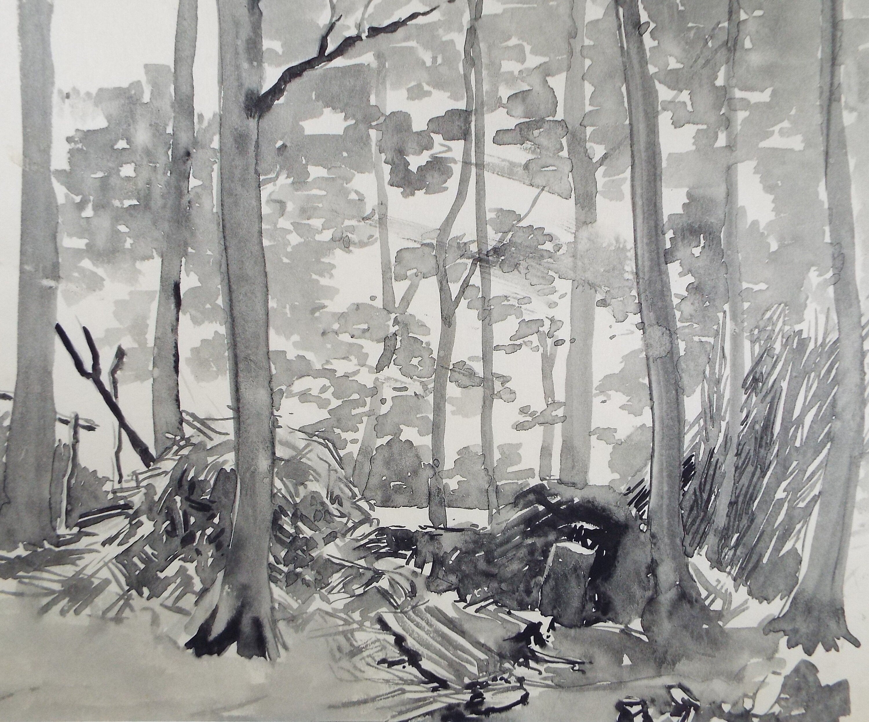 Original Watercolour, 'Bodger's Wood', Circa 1950's , Hilda Burford (1887-1957)