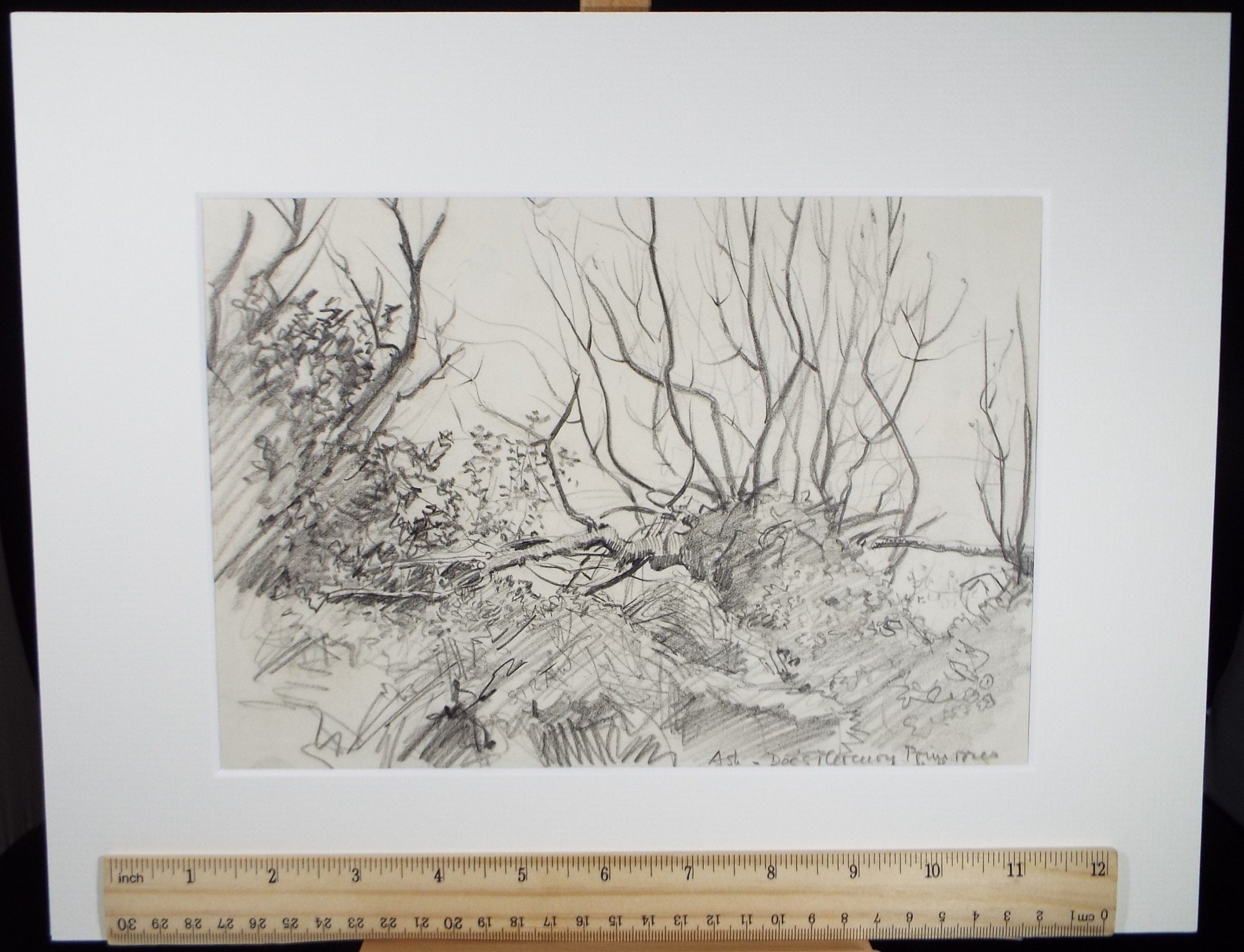 Original Pencil, 'Woodland, Early Spring', Circa 1950's , Hilda Burford (1887-1957)