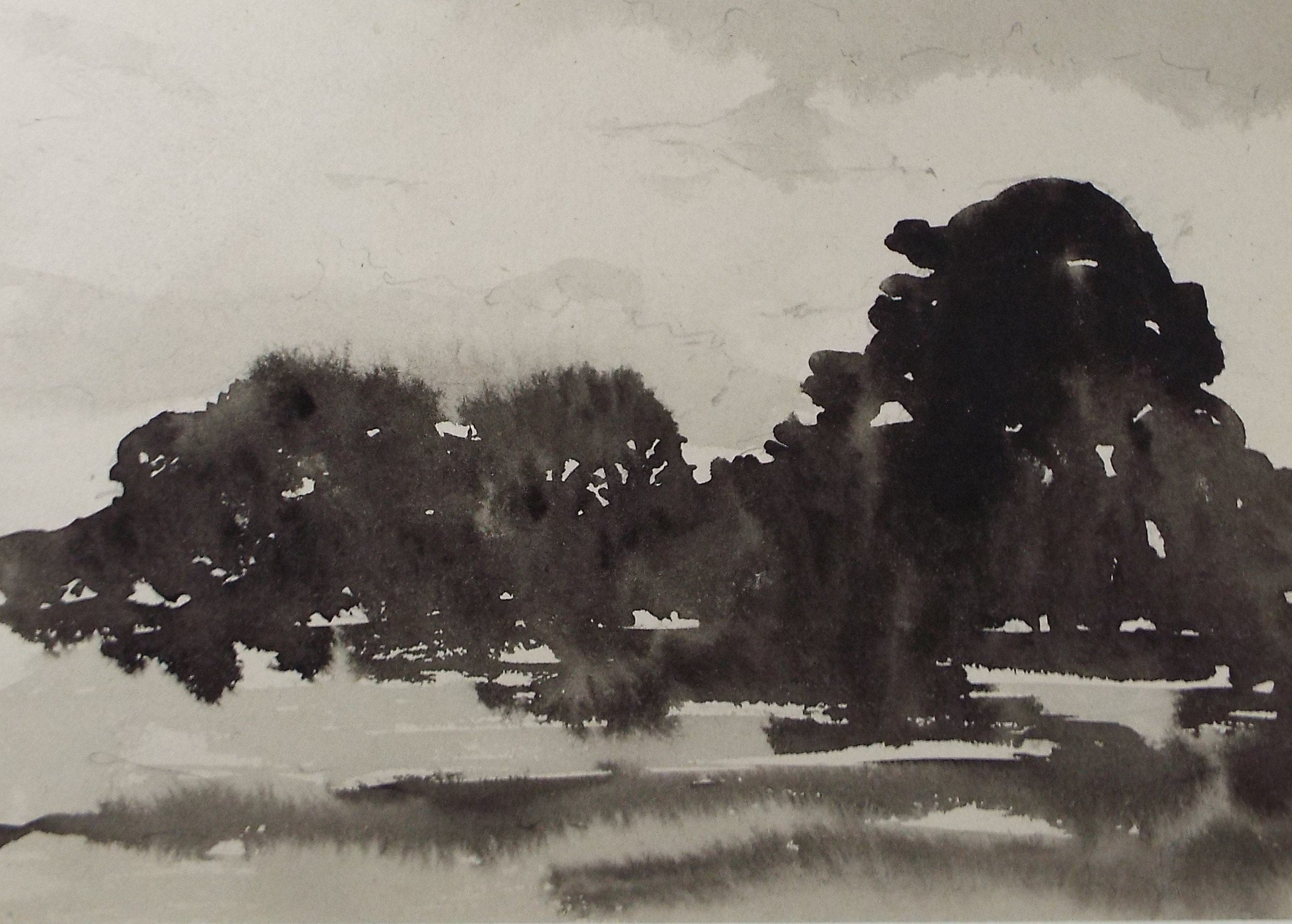 Original Watercolour drawing, 'Study of a Copse', circa 1980's, Artist Unknown