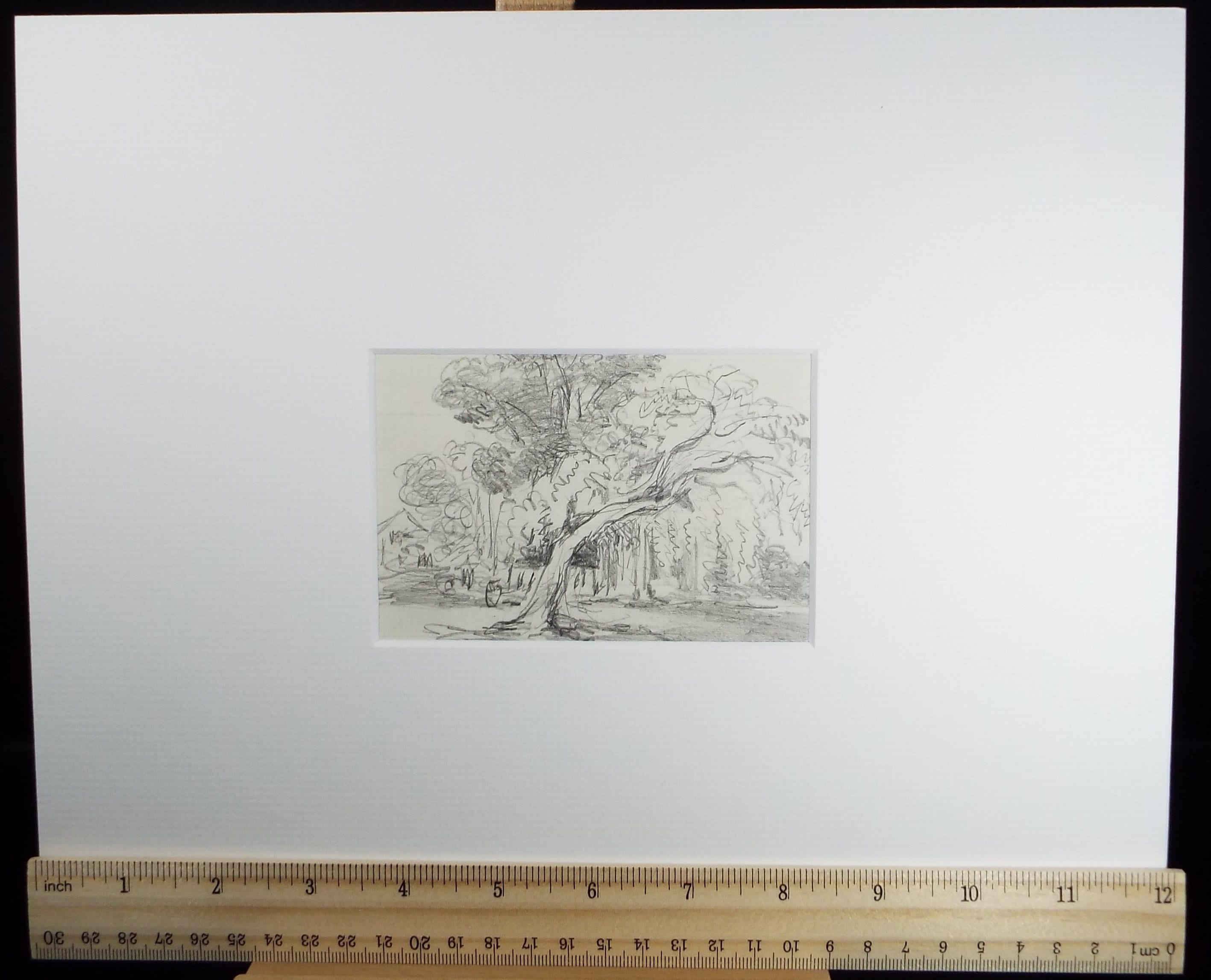 Original Pencil Drawing, 'Woodland Study', Circa 1890's ,Artist Unknown